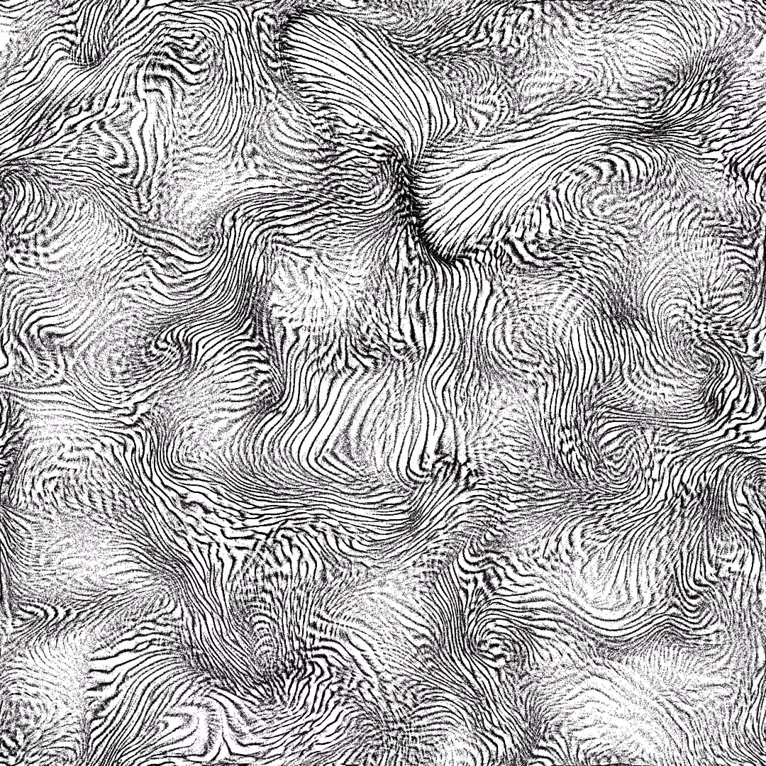 zebra-fluid