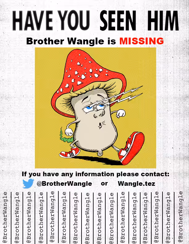 Missing Wangle 9