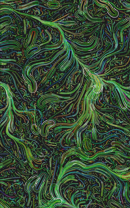Flossom #189