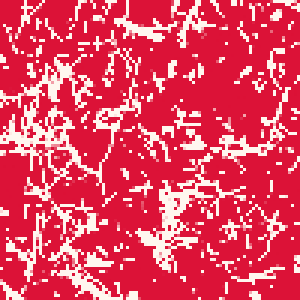 64