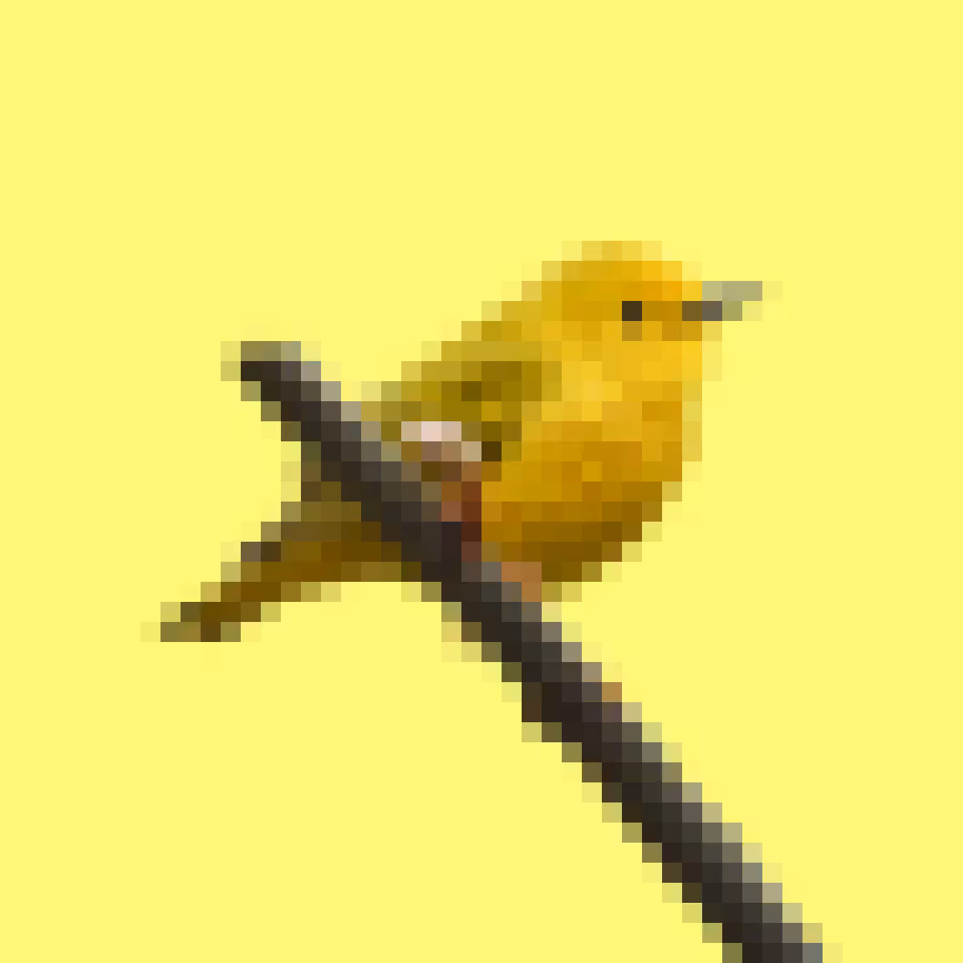 PixlBird #034