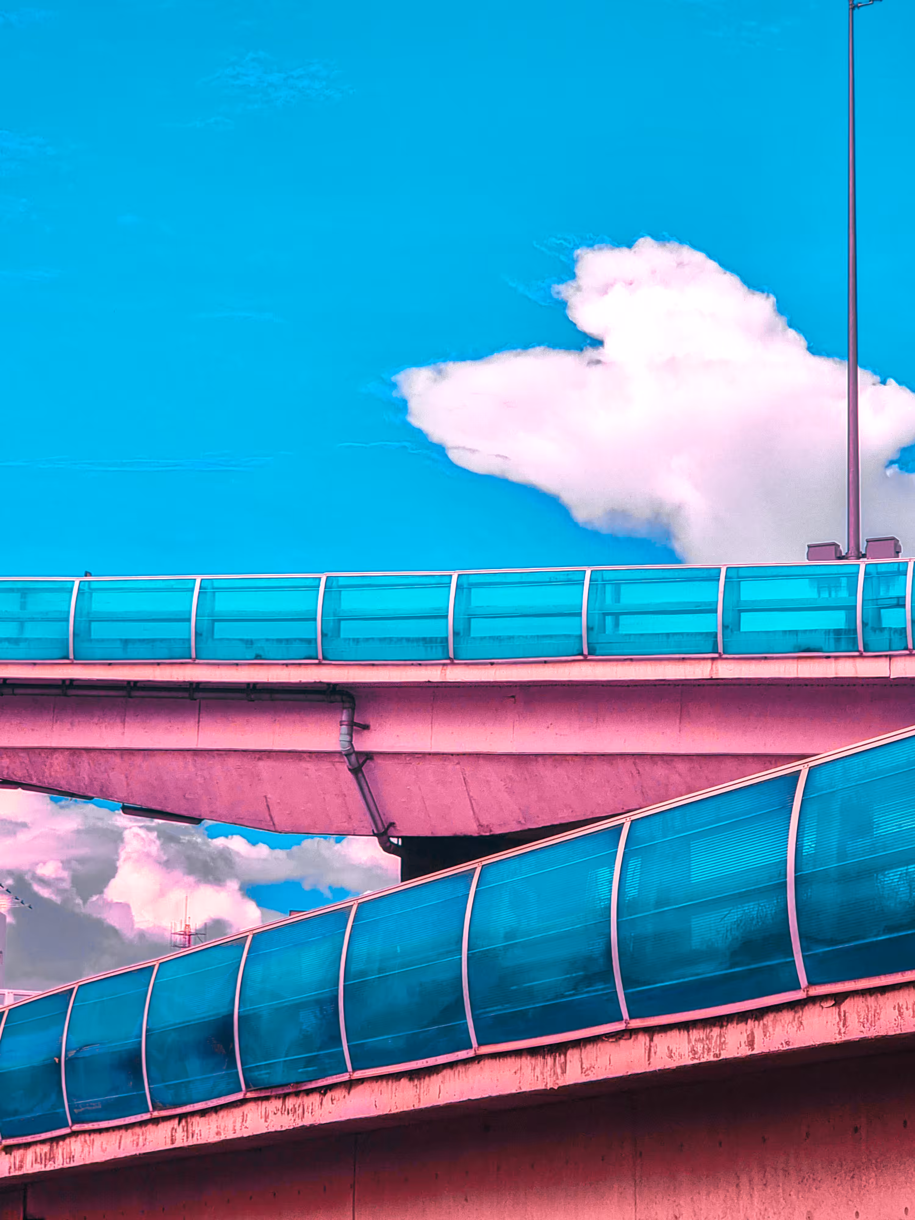 Poodle sky