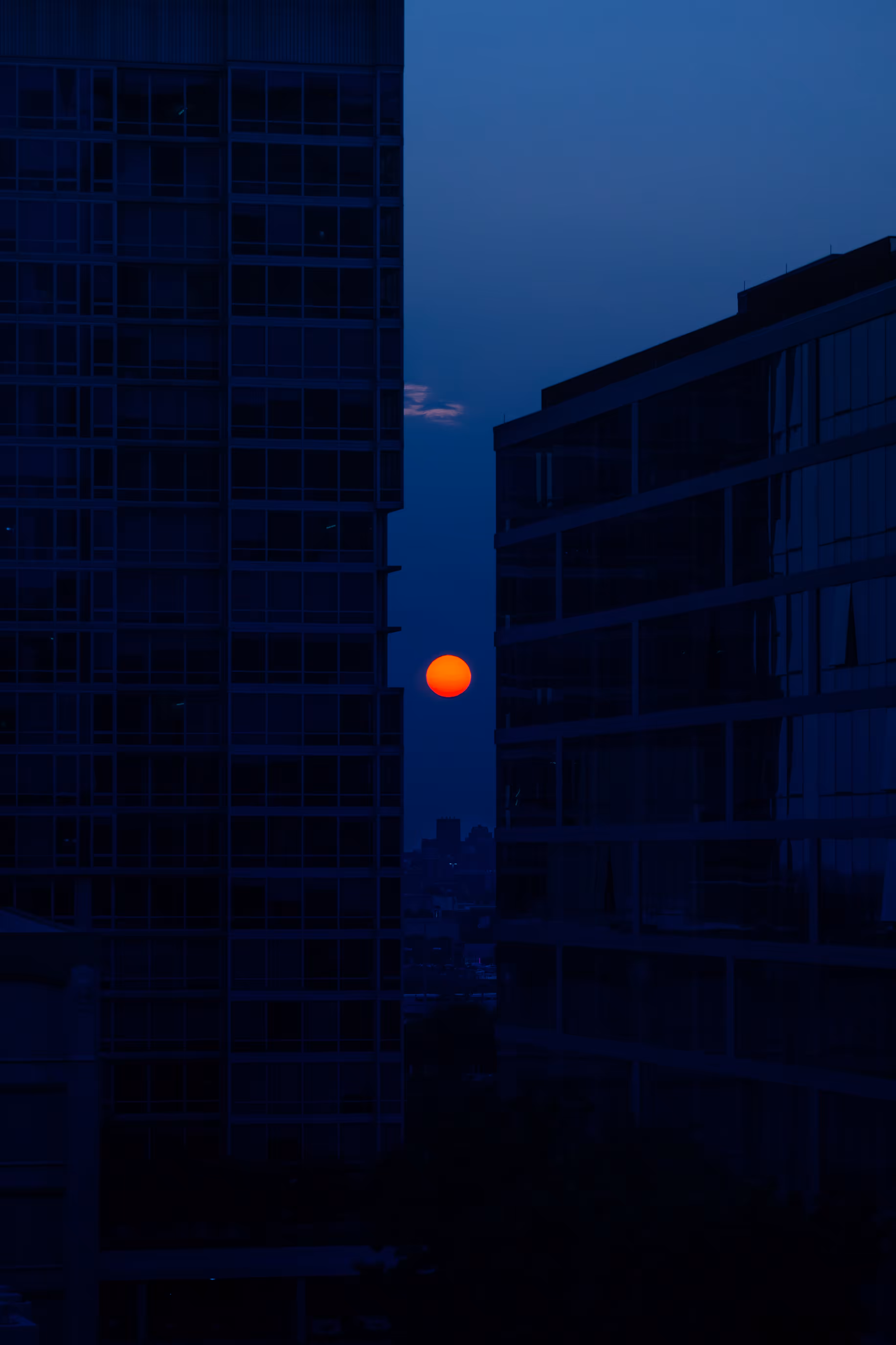 Sun // 2035