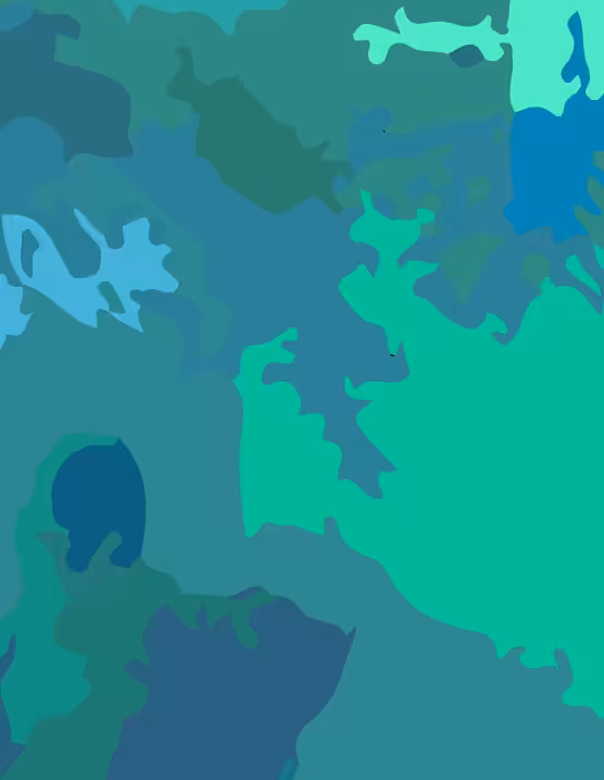 fl0p