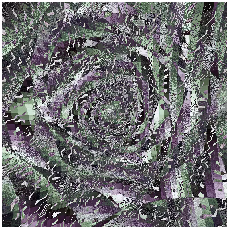 rosette #95