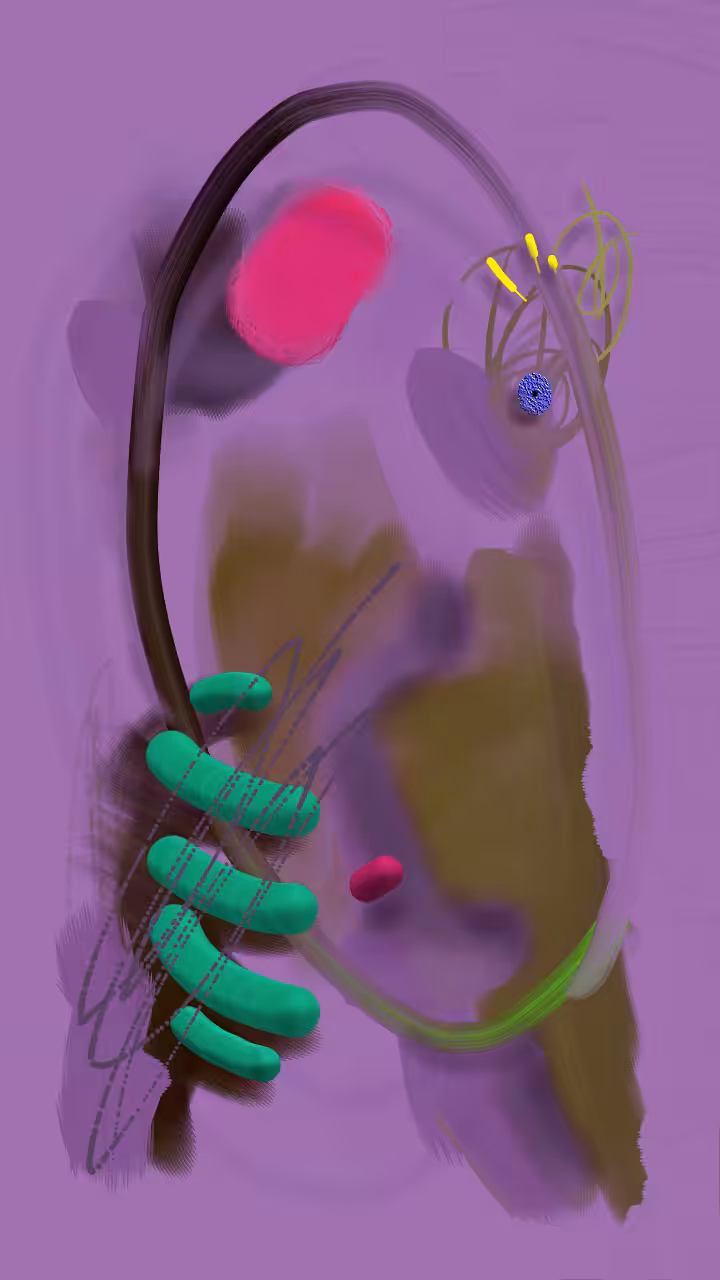wryty7io0