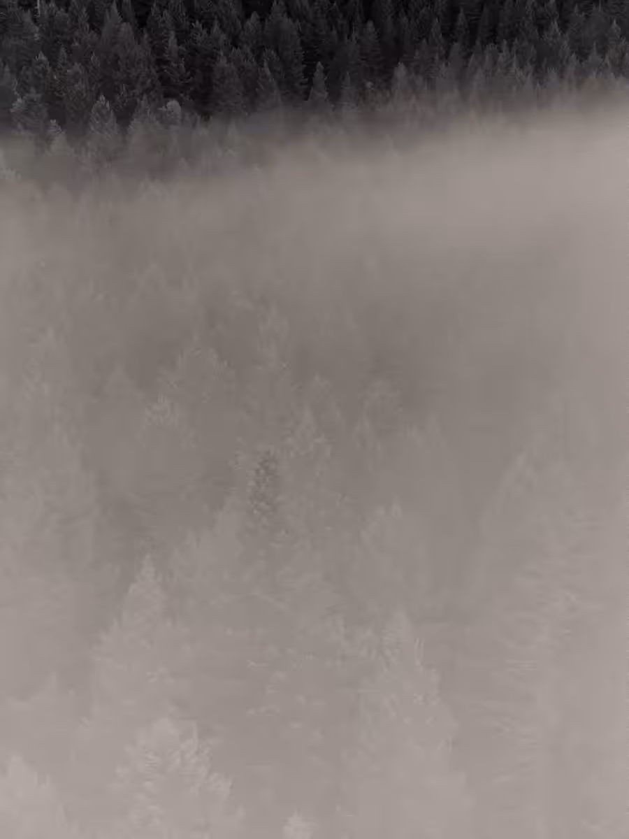 Drifter
