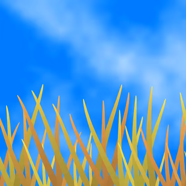 Fields of Ukraine #15