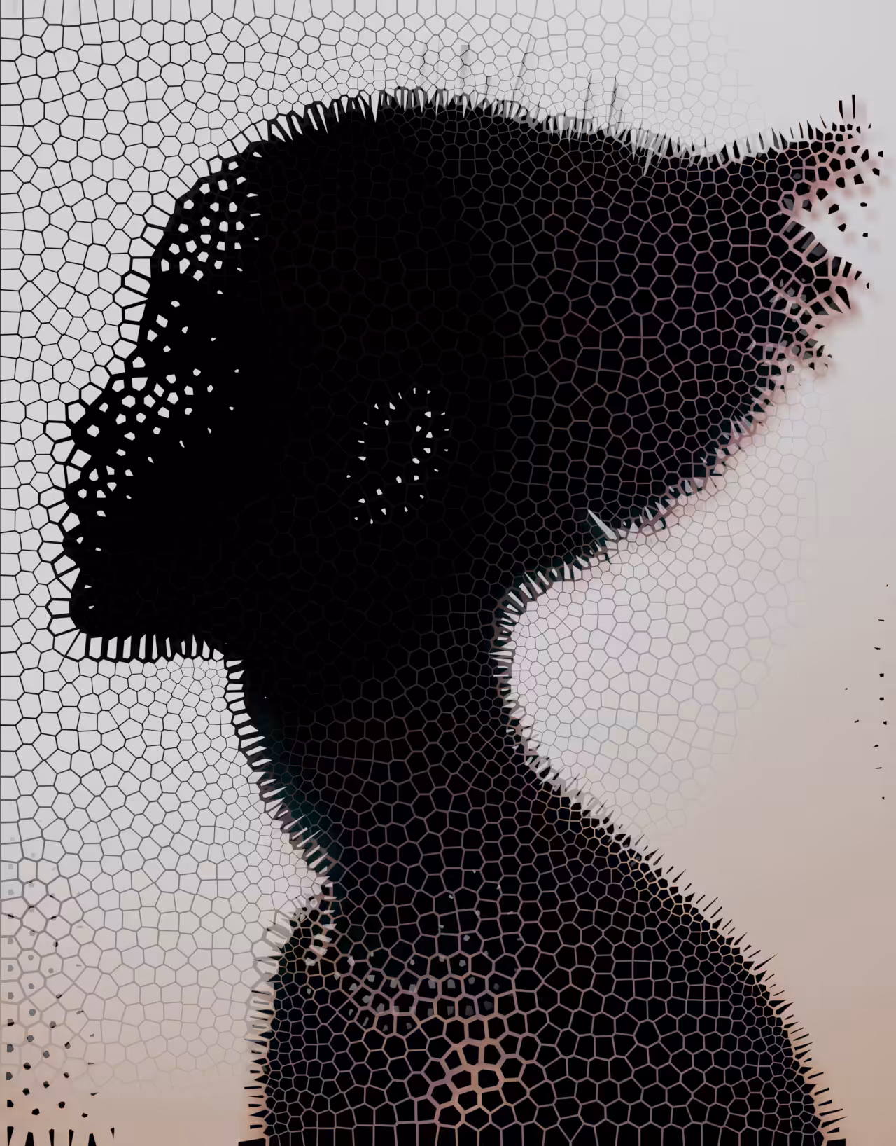 afro