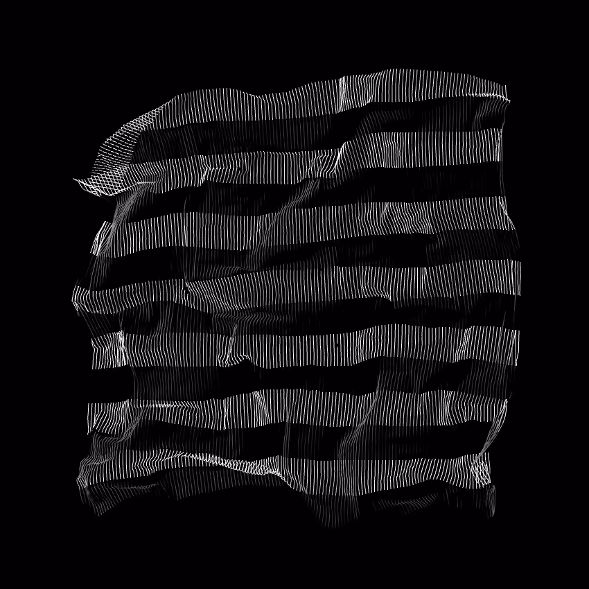 Fibril #335
