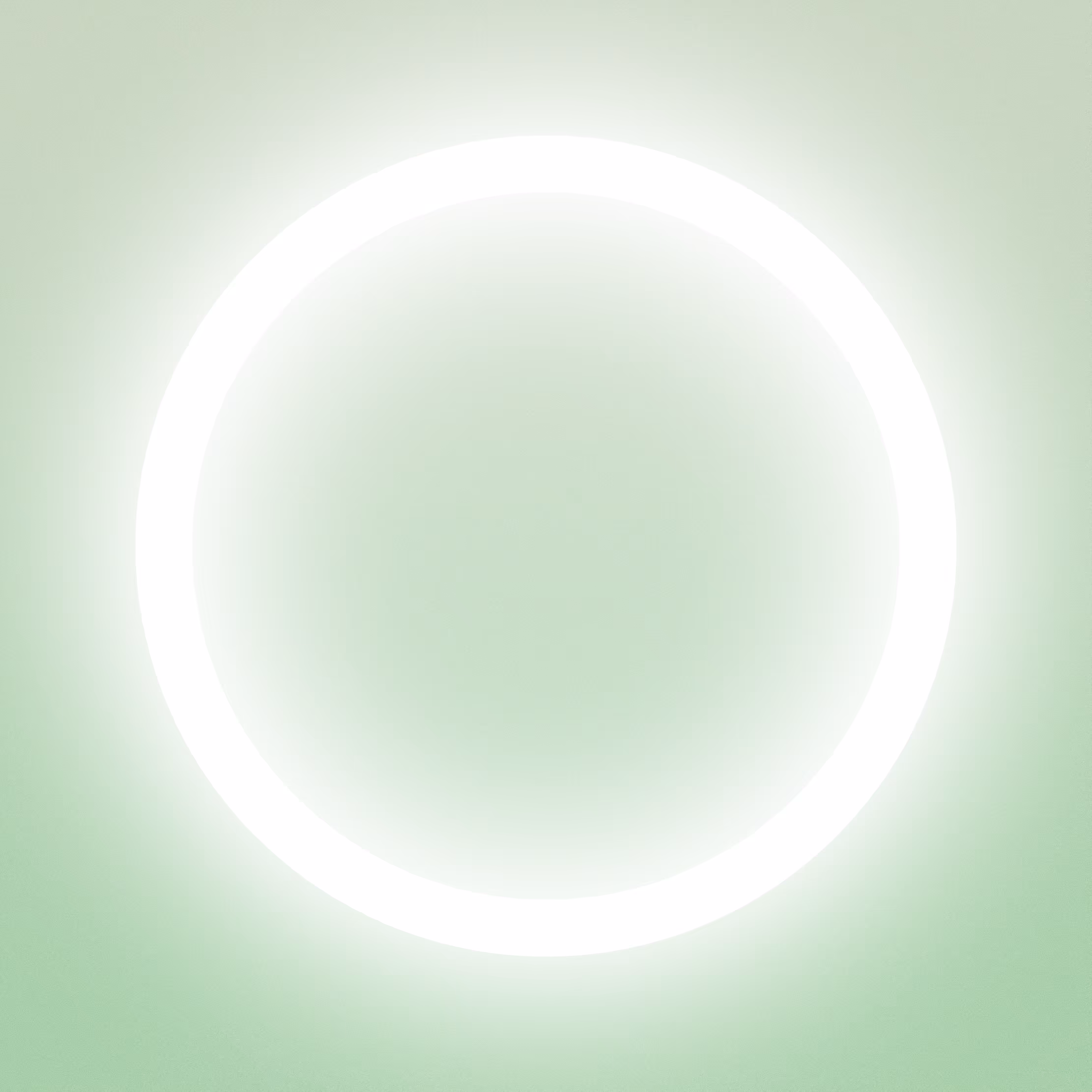 with the light 29