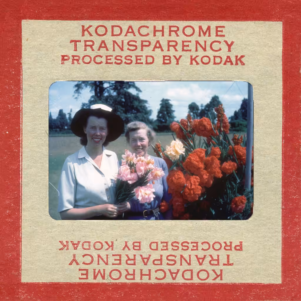 Garden, Color Reversal Film (kodachrome), 1955