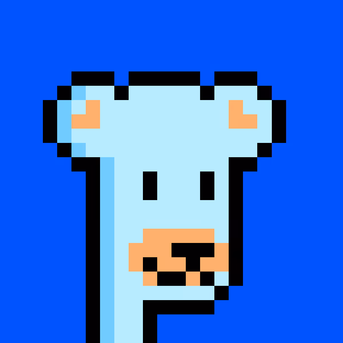 BearPunks #1465