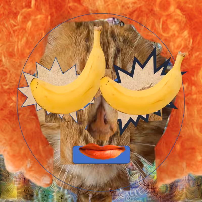 A collage of collages #161