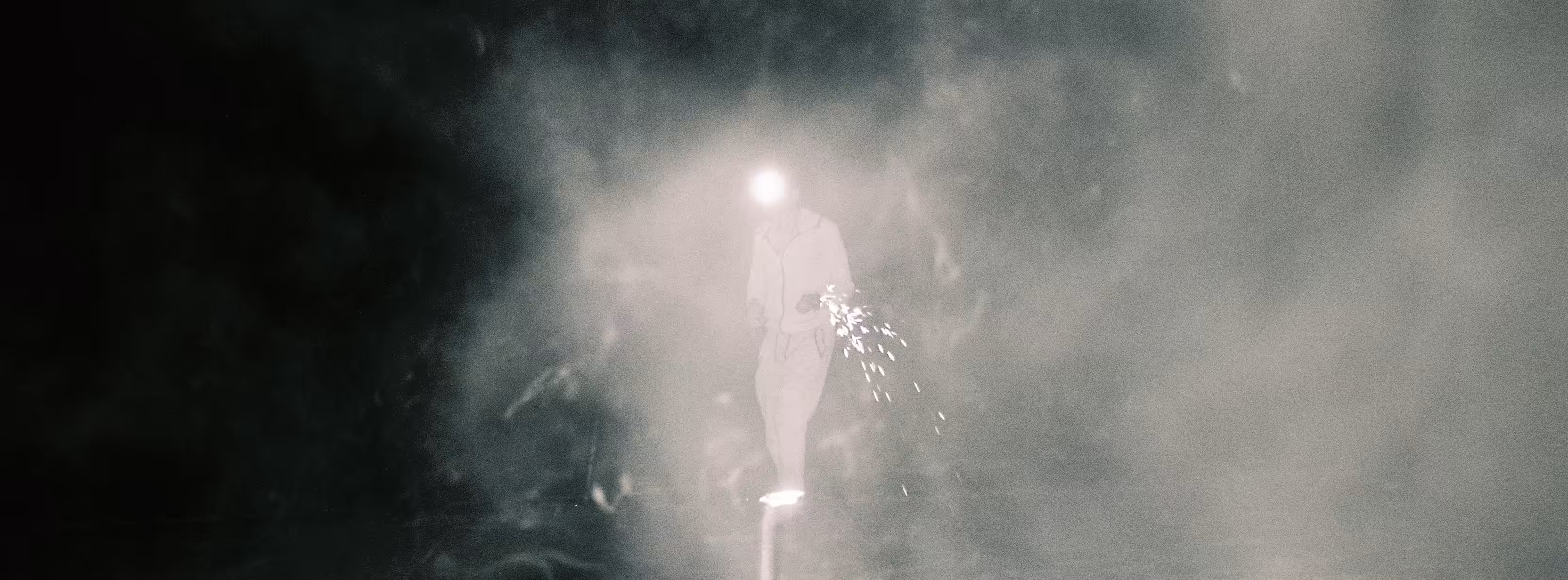 fireflies