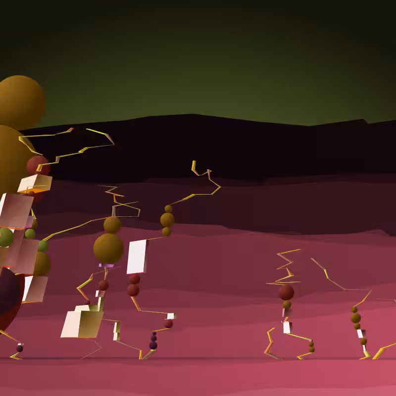 caravans #17