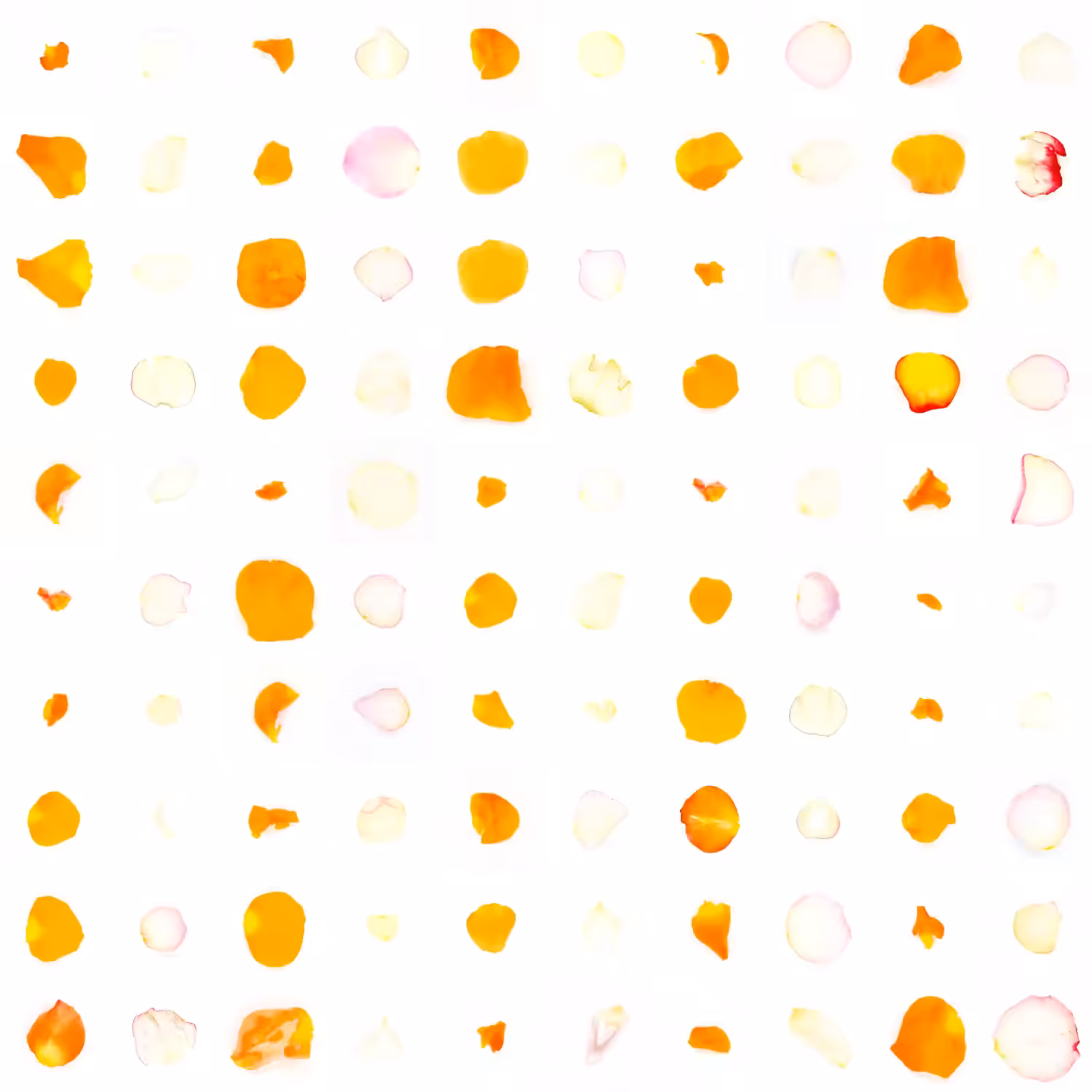 Infinite Petals 10x10#10030