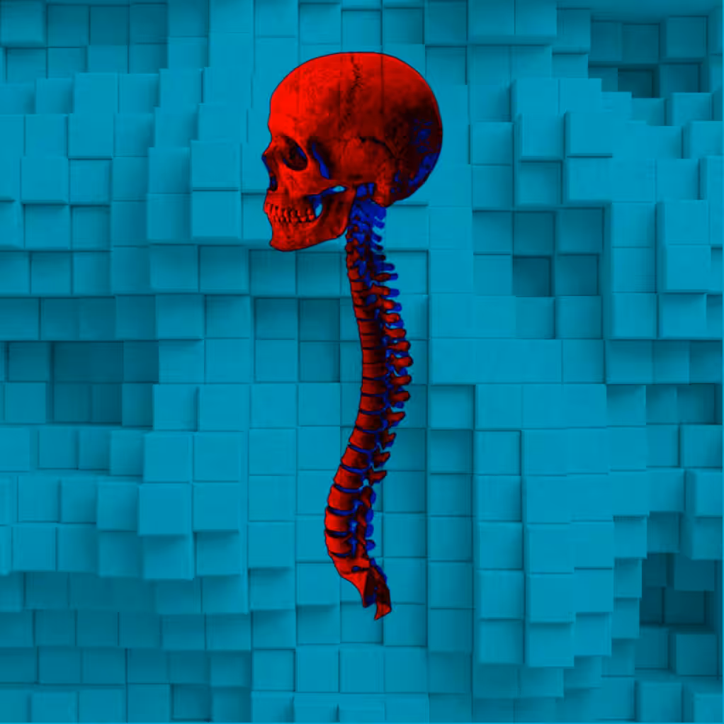 Spinal 