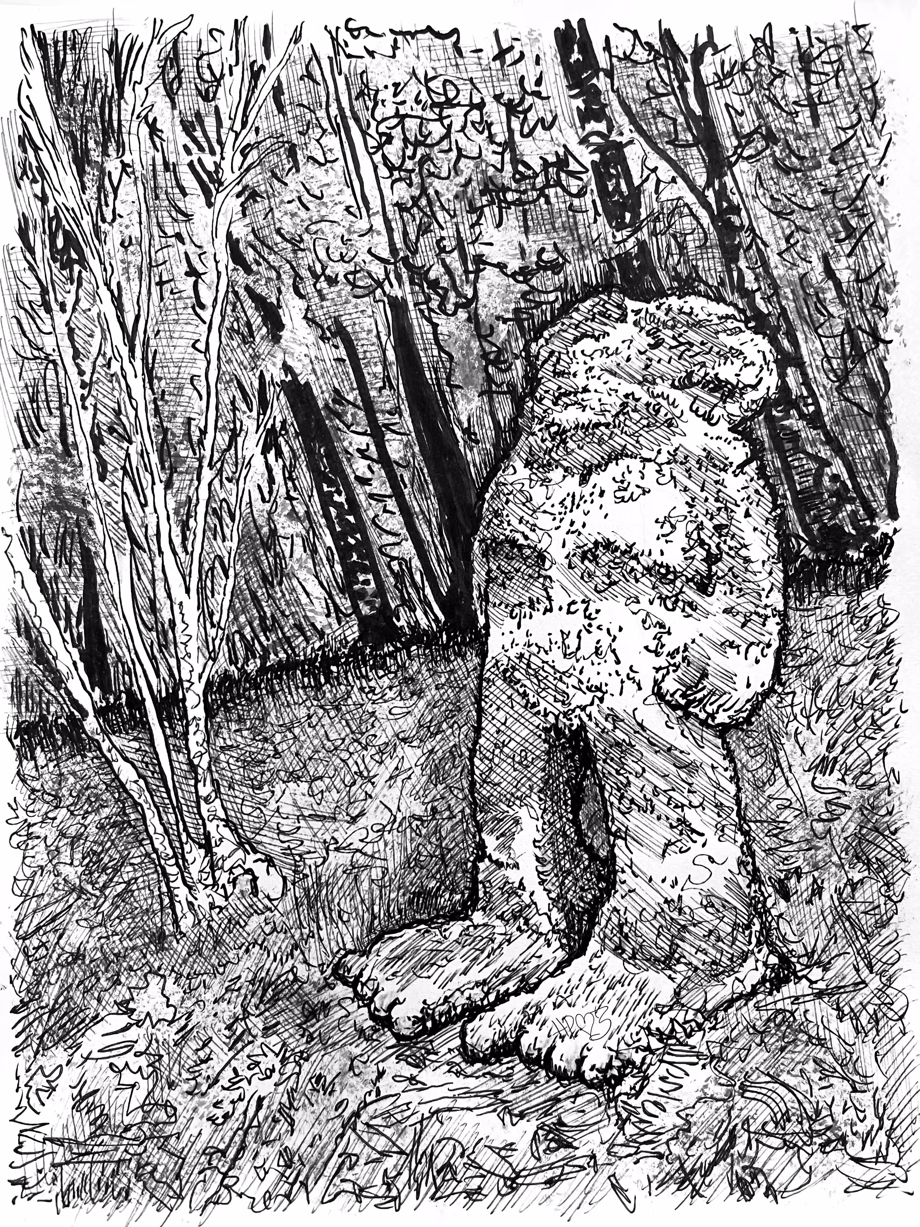 Portrait of SOLLA SOLVA