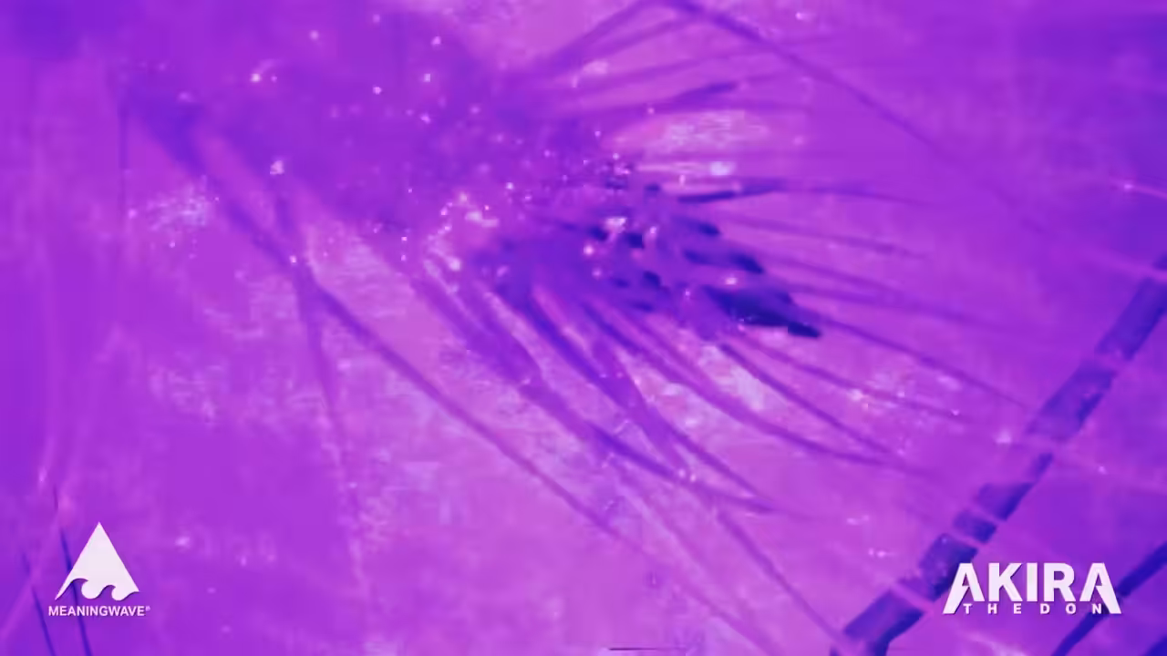ANY DREAM YOU WANTED ft. Alan Watts | NFT Music Video | Akira The Don