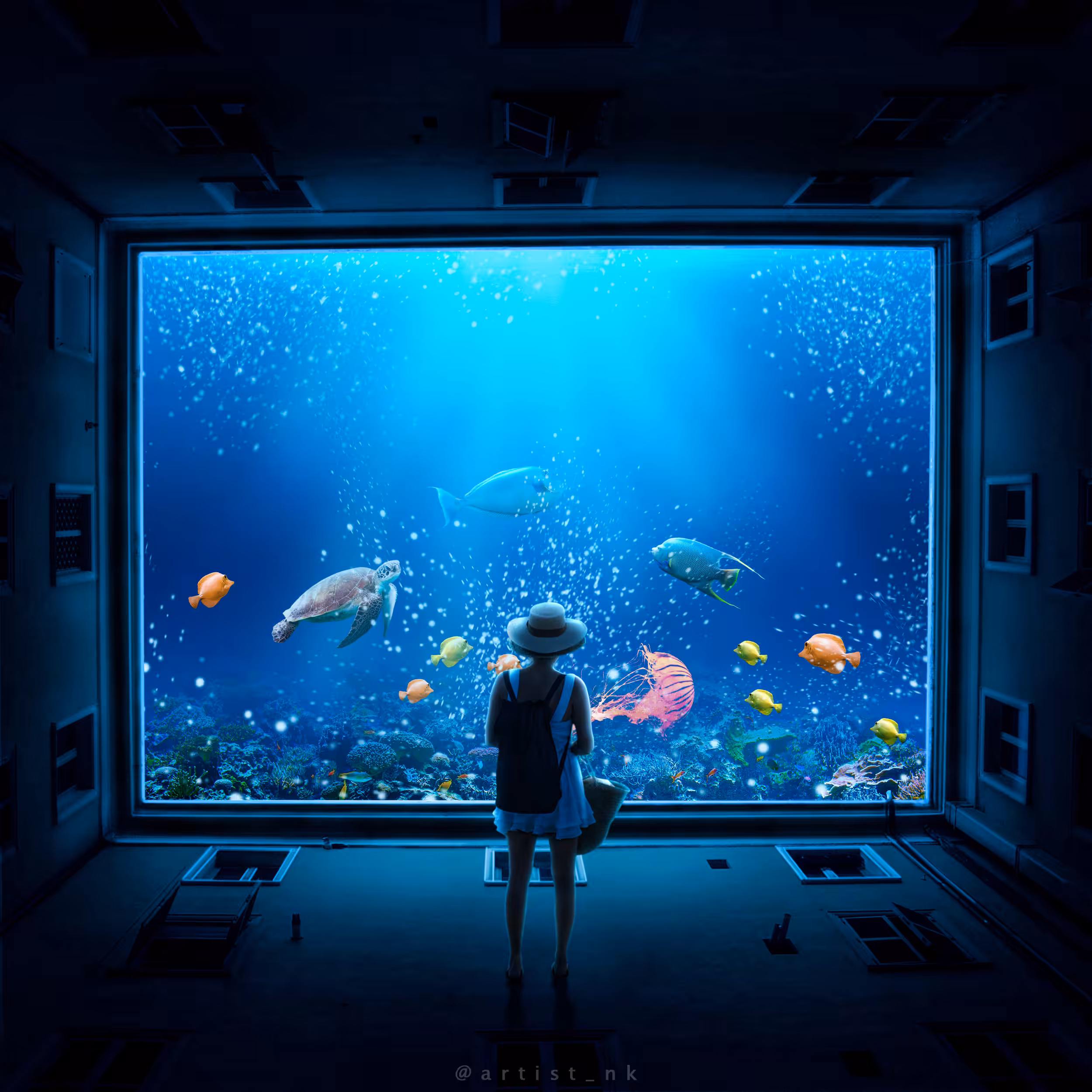 The Aquarium