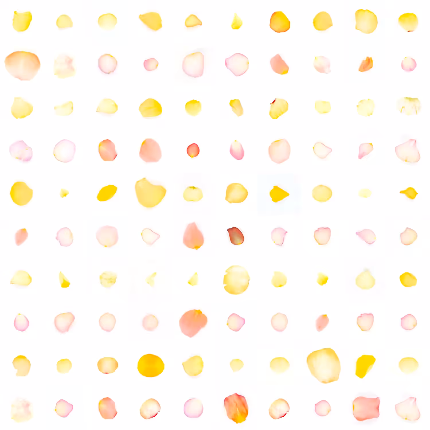 Infinite Petals 10x10#876