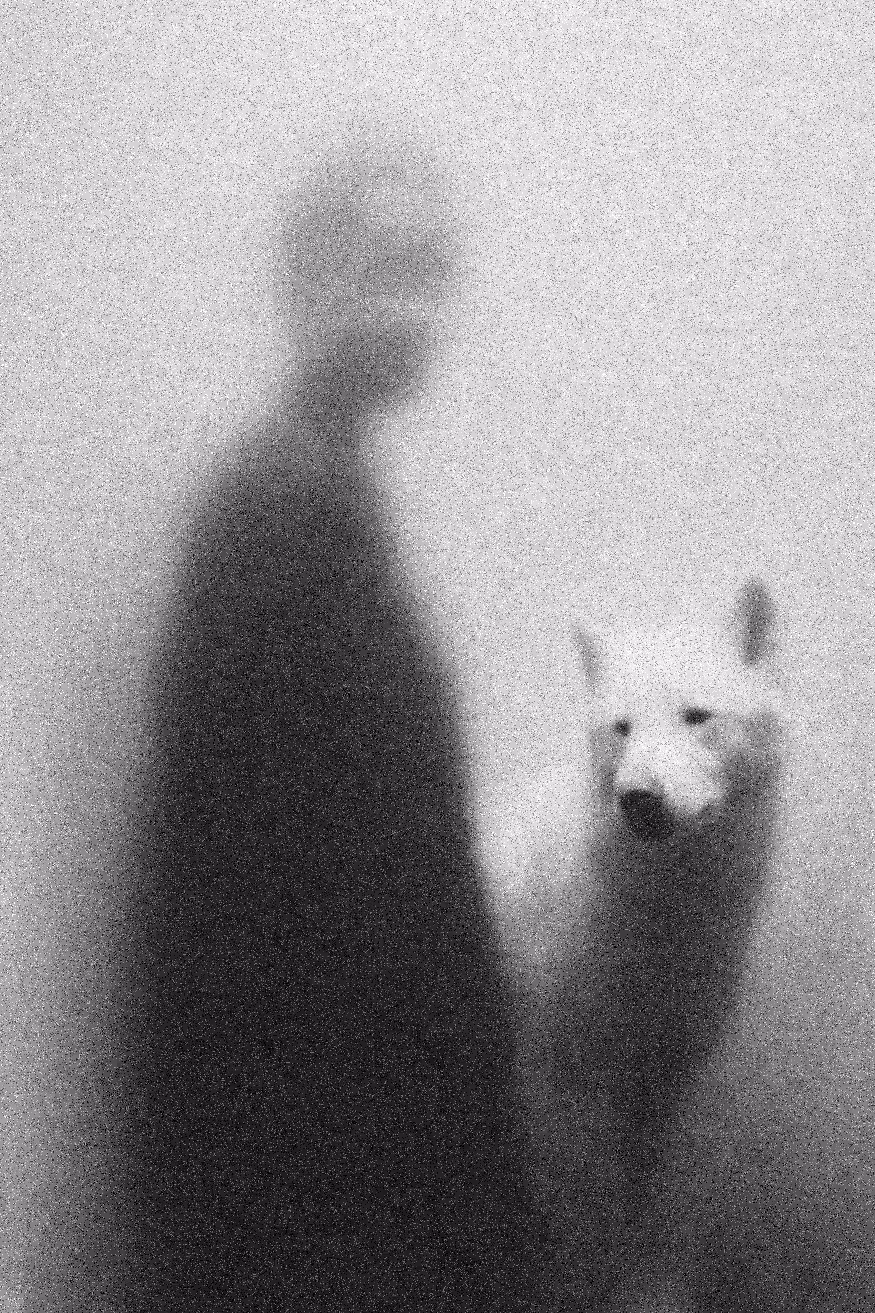 Bonded by Cosmos