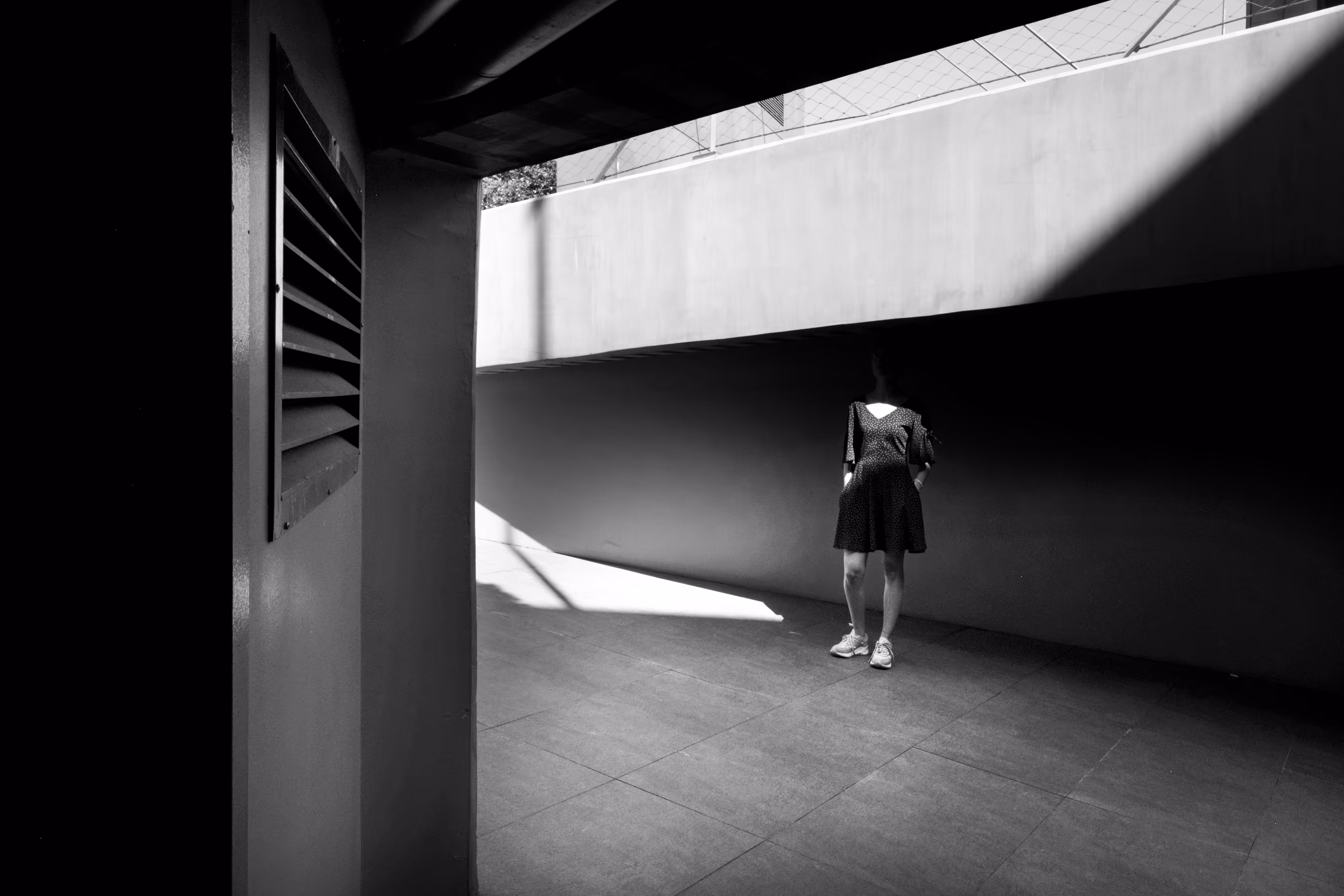 In The Shadows