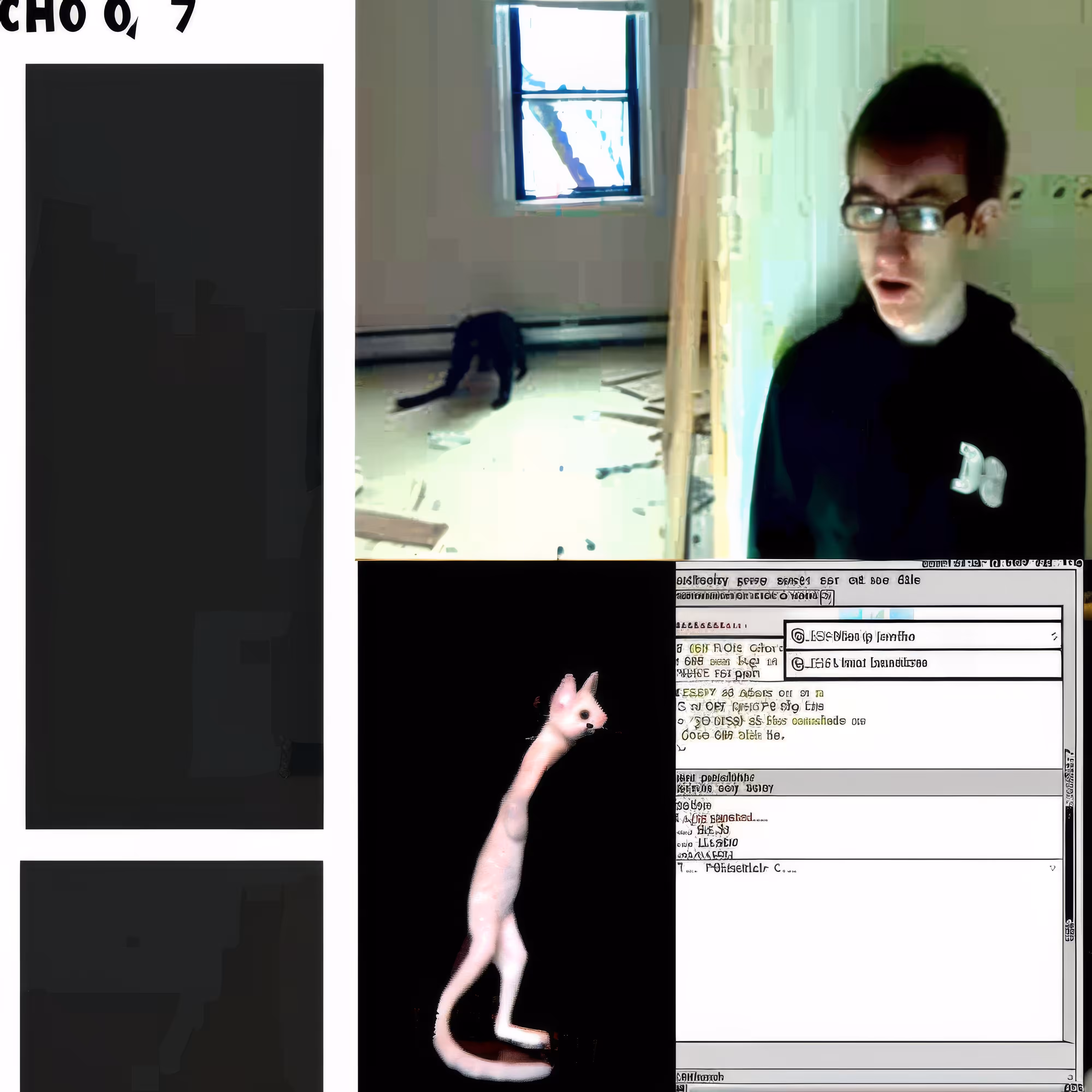 BAD JPEGs: Fragmented-Mousecat