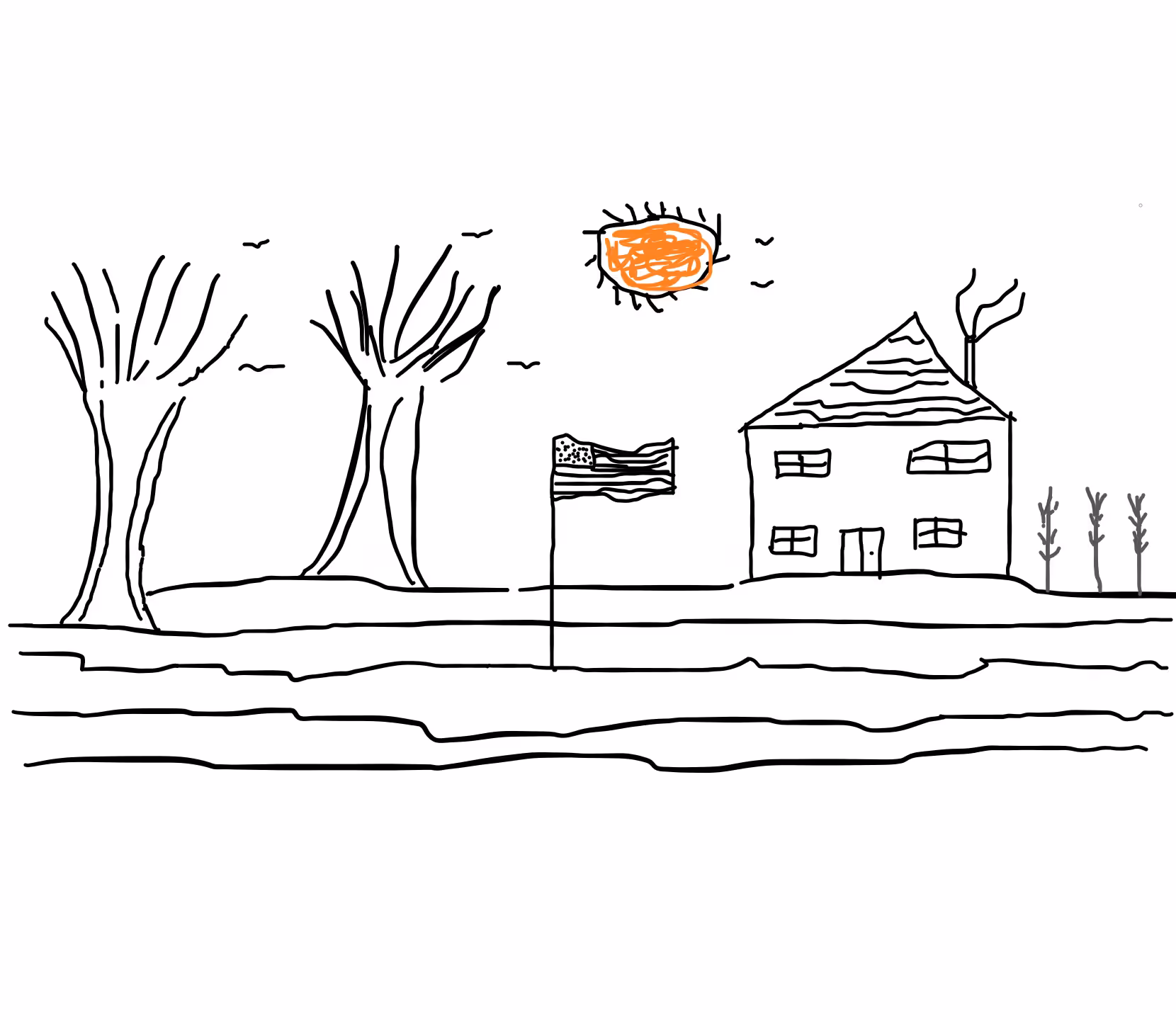 USA Homestead