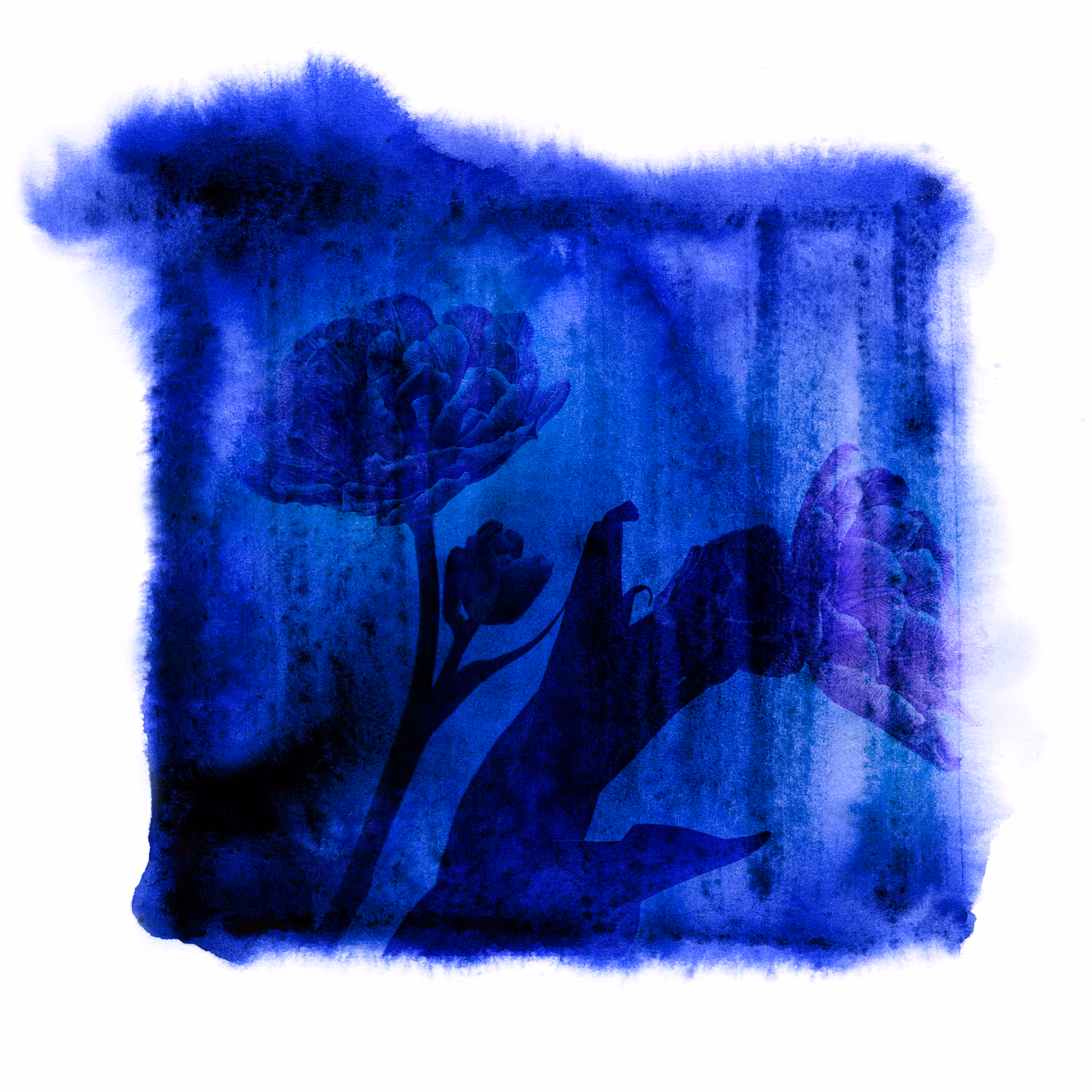 Blues garden #05