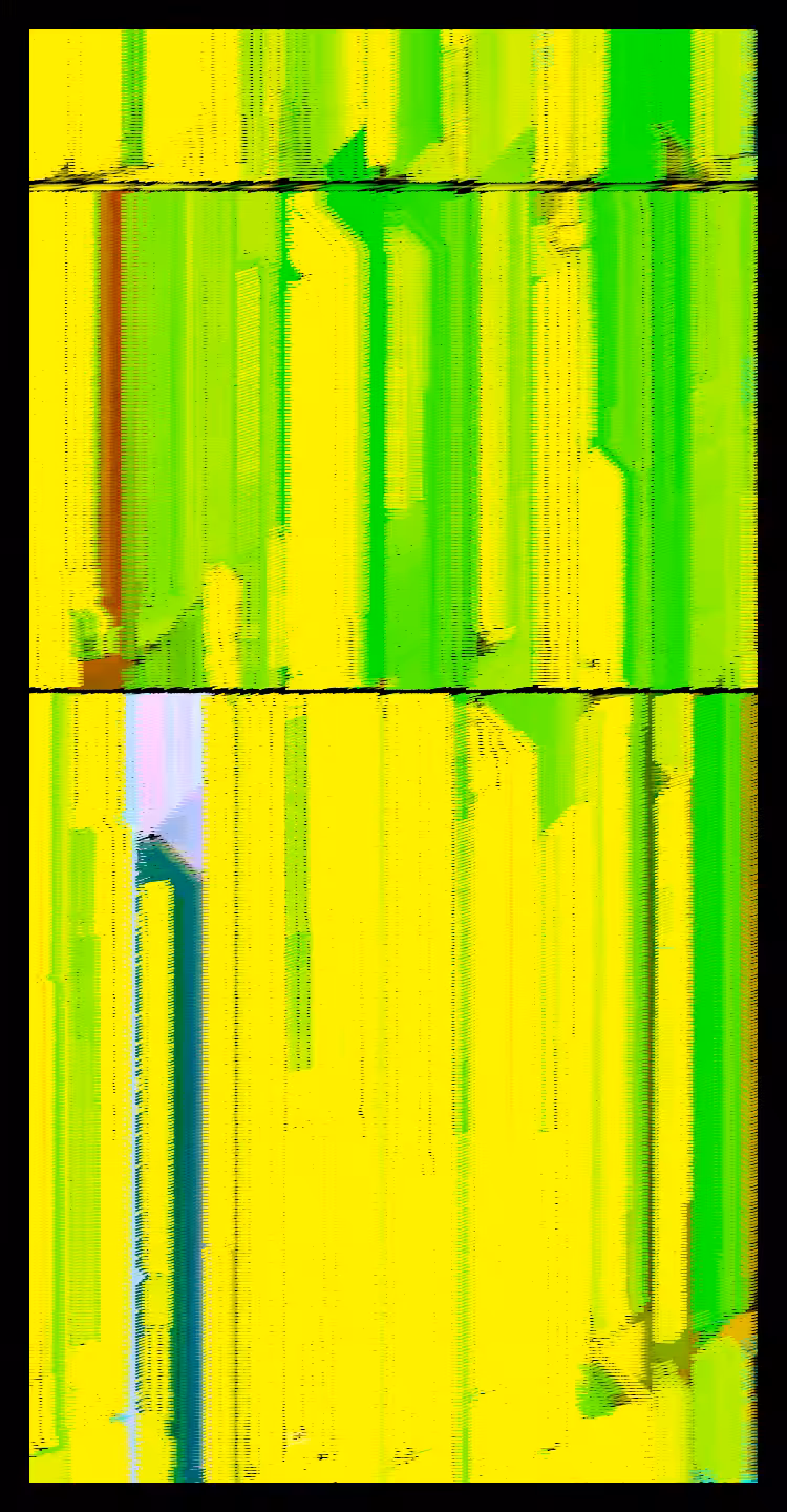 Entropic Bug #2