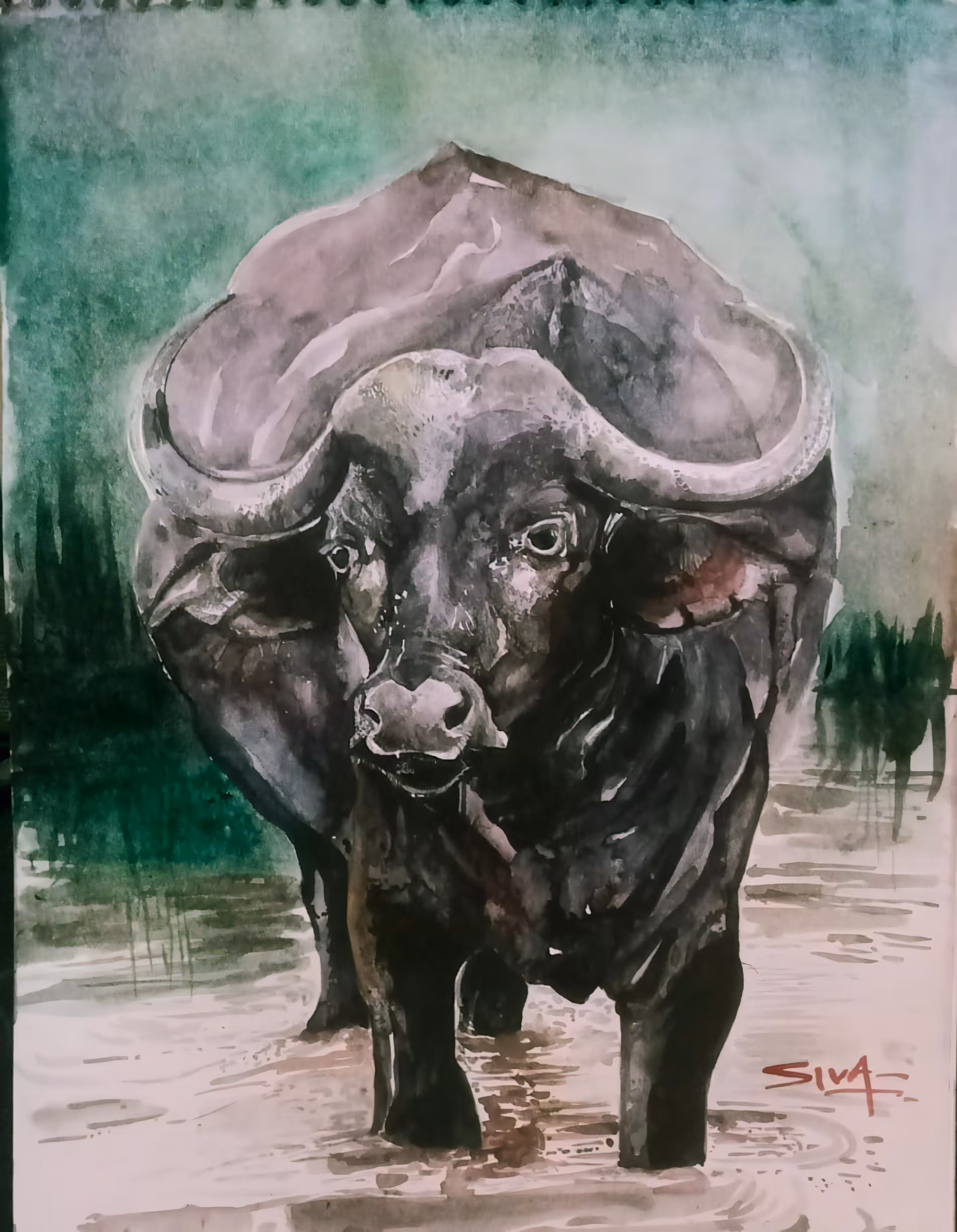 BUFFALO WATER COLOR PAINTING