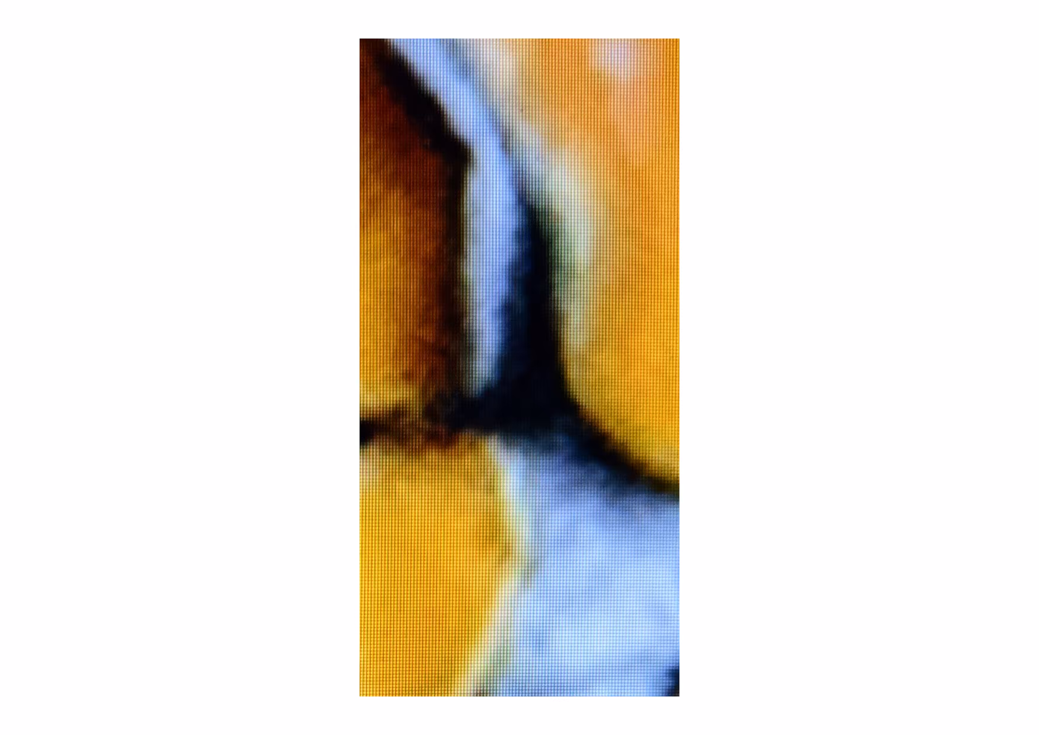 very close to nature 004B