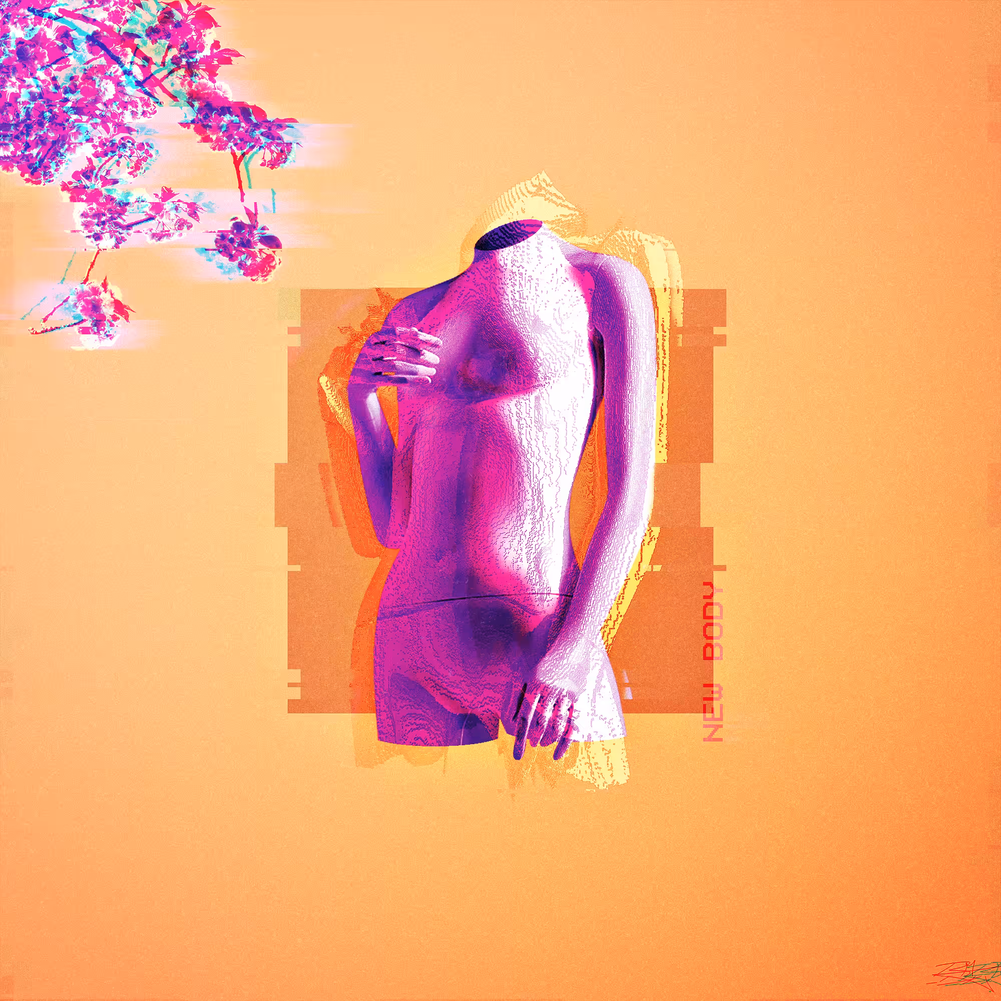 𝗡𝗲𝘄 𝗕𝗼𝗱𝘆