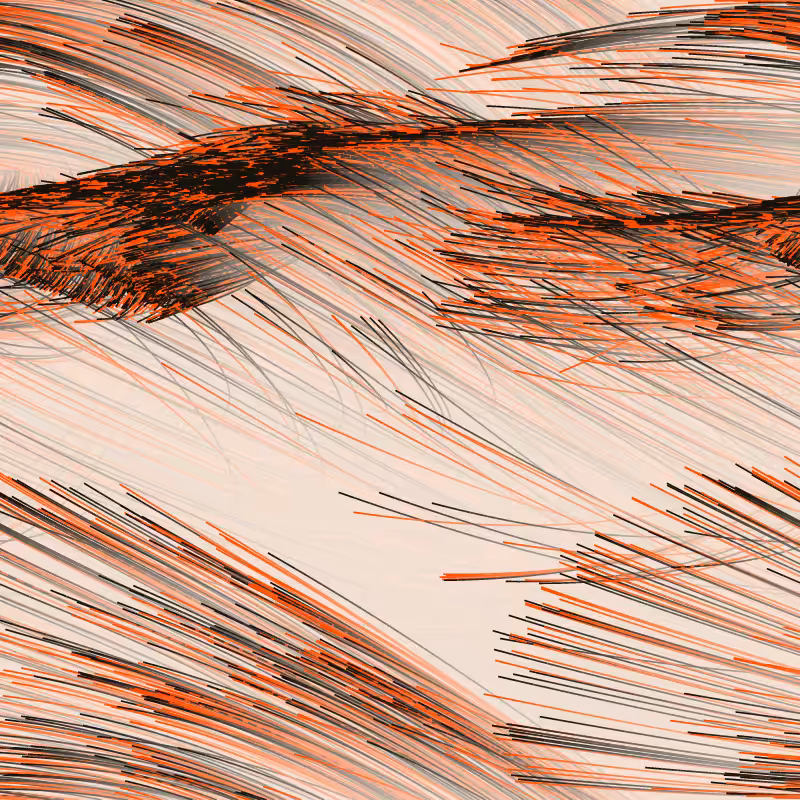 Strange Attractor Swarm #48