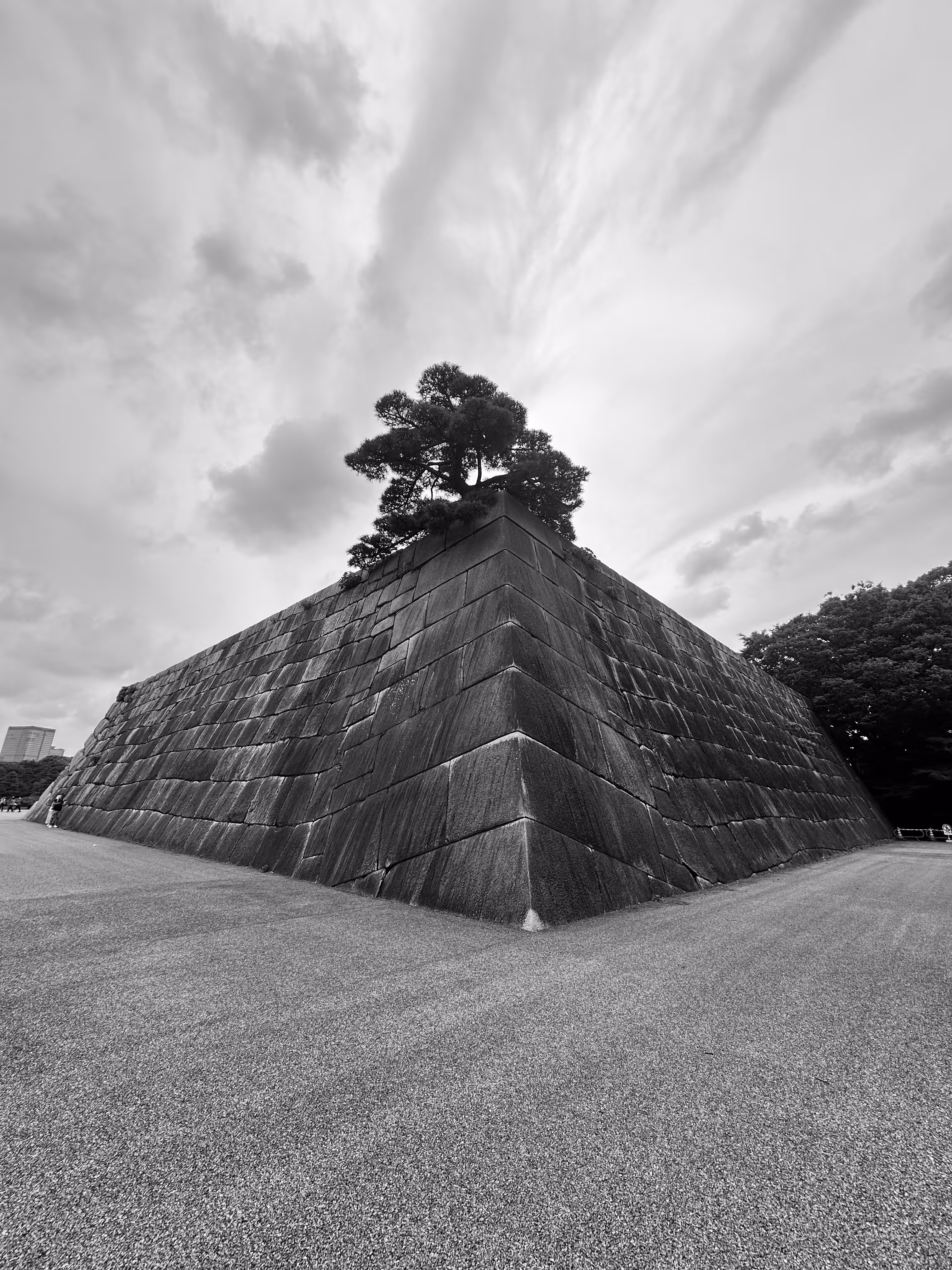Travel Journal: A Walk in the Imperial Gardens