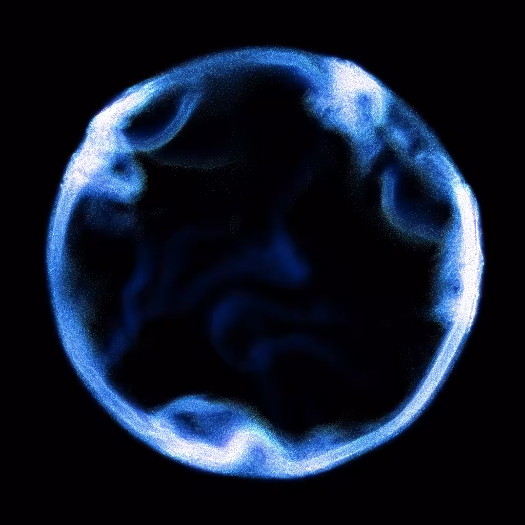 PETRI #30