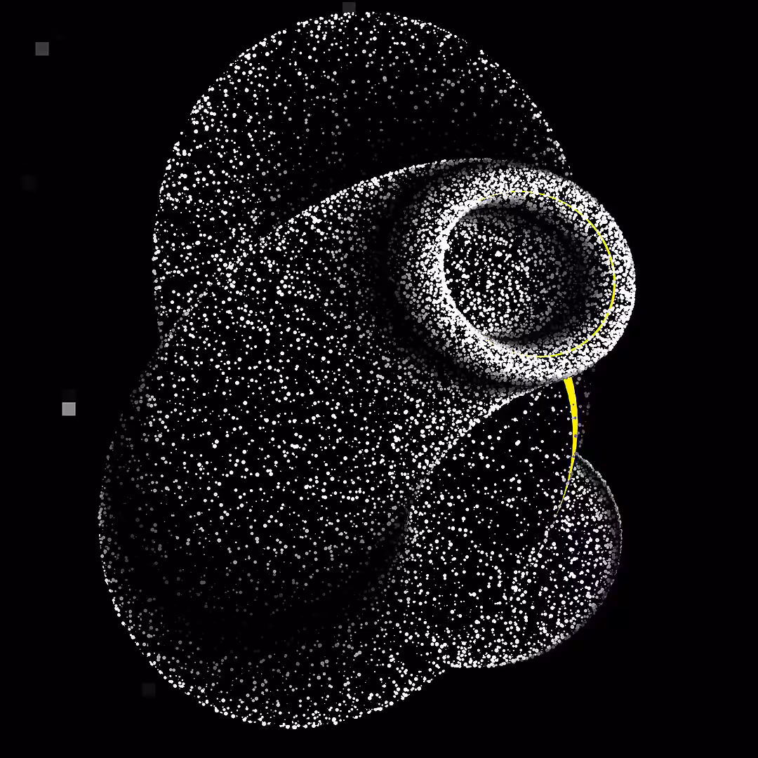 Monochromosome #7/50