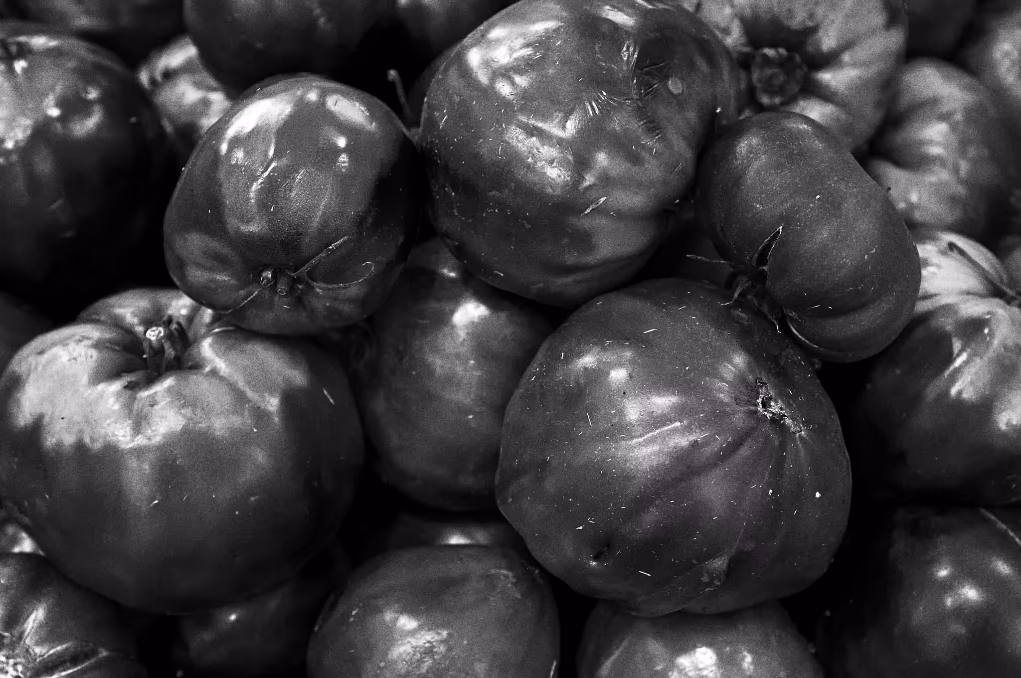 Tomatoes
