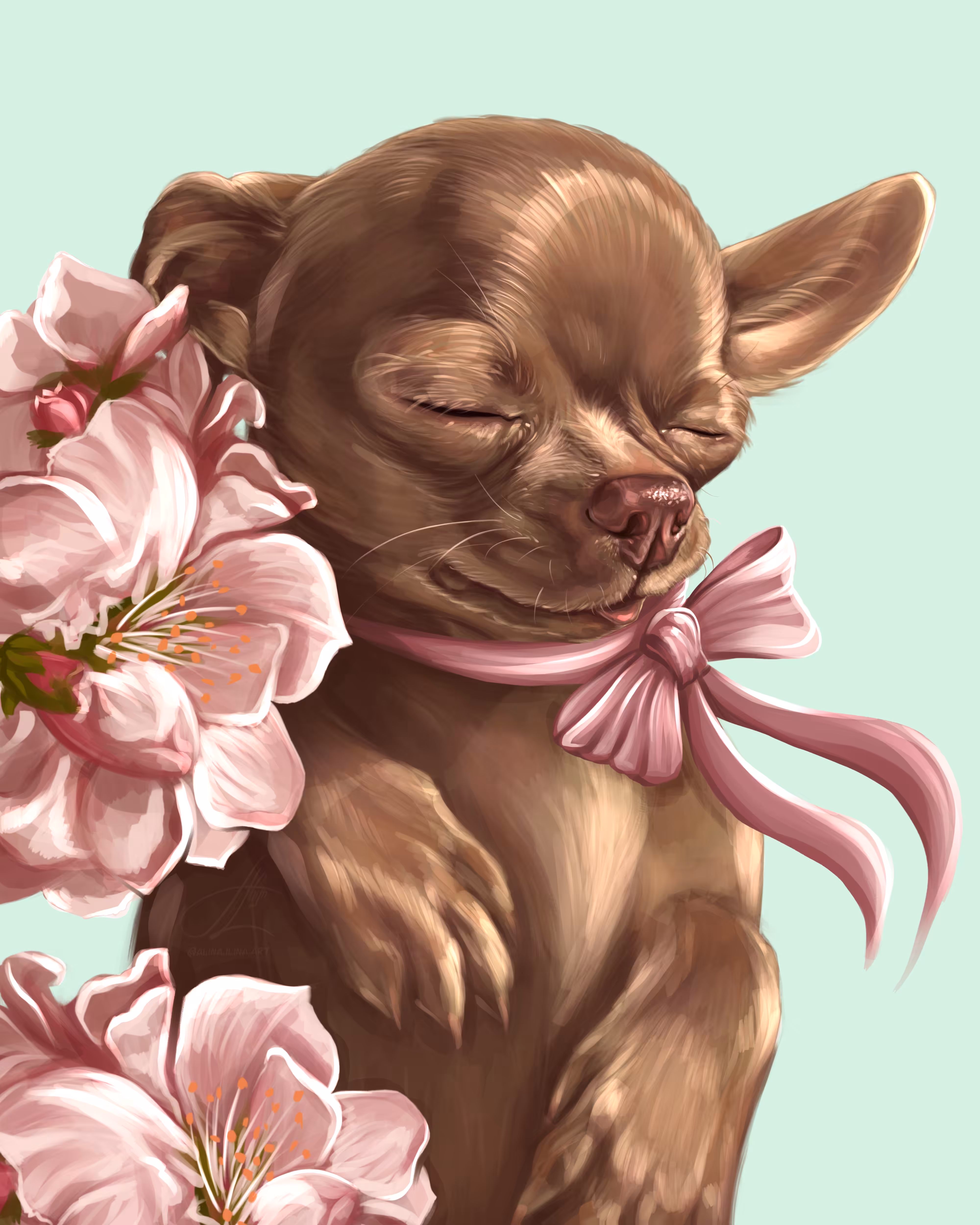 Pretty Chihuahua
