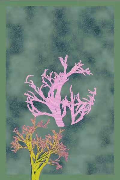 illusion #24