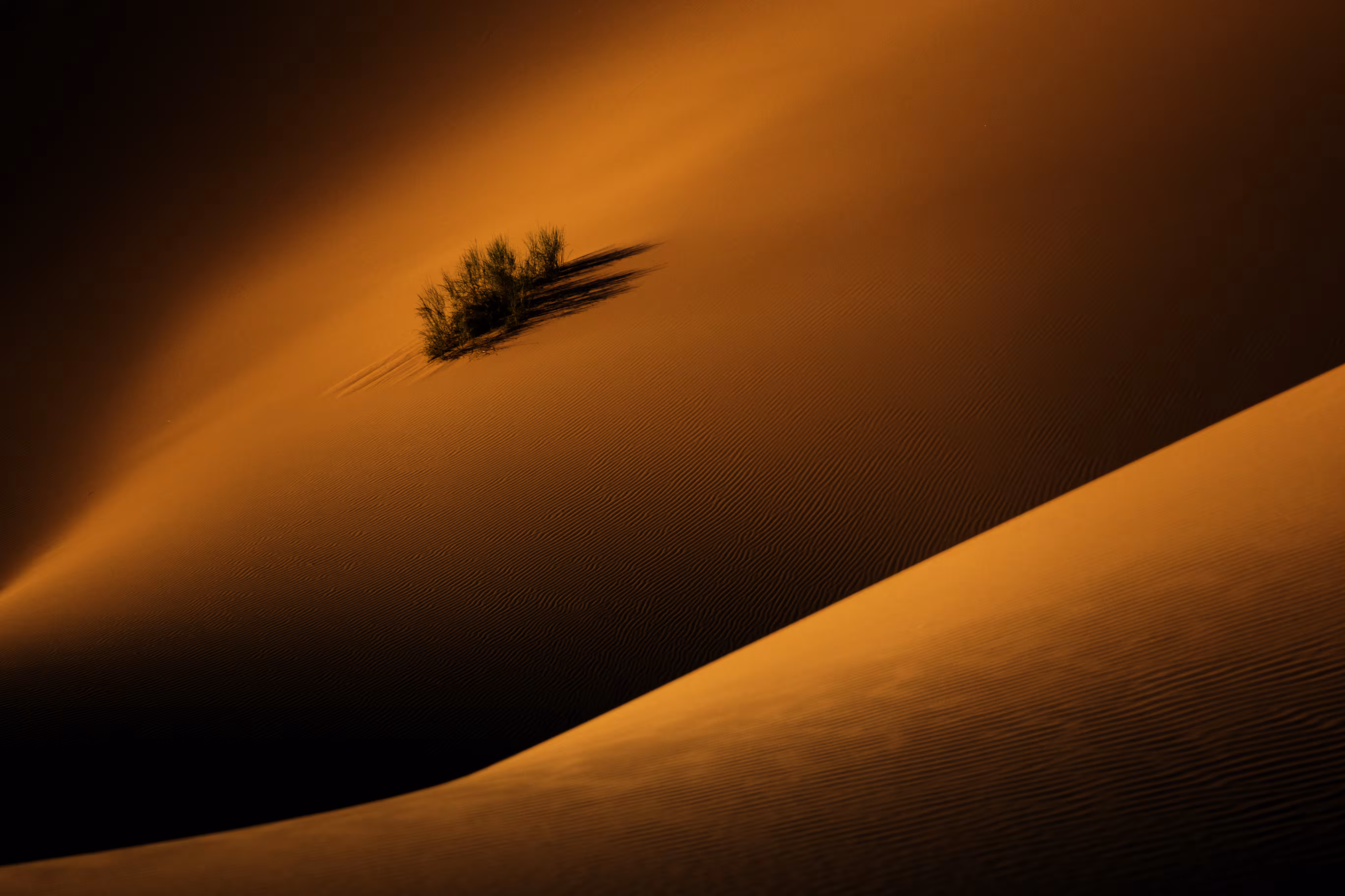 shapes of desert