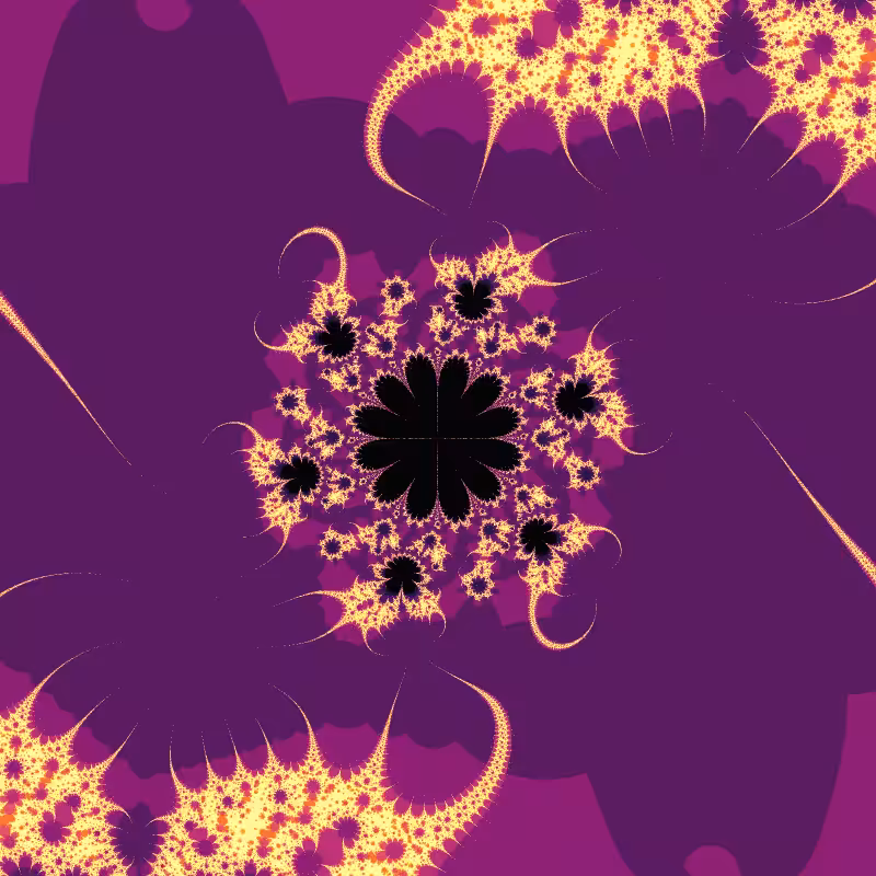 Morphology #81