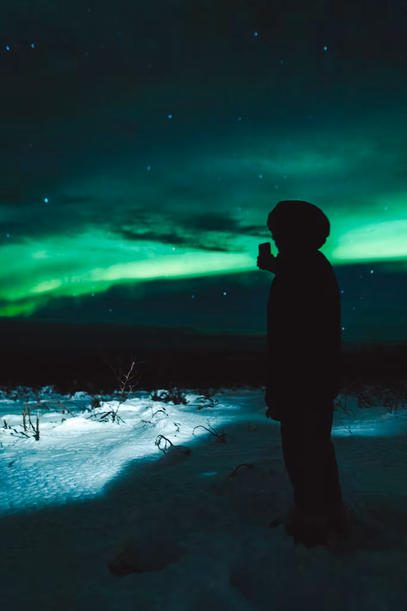 Borealis