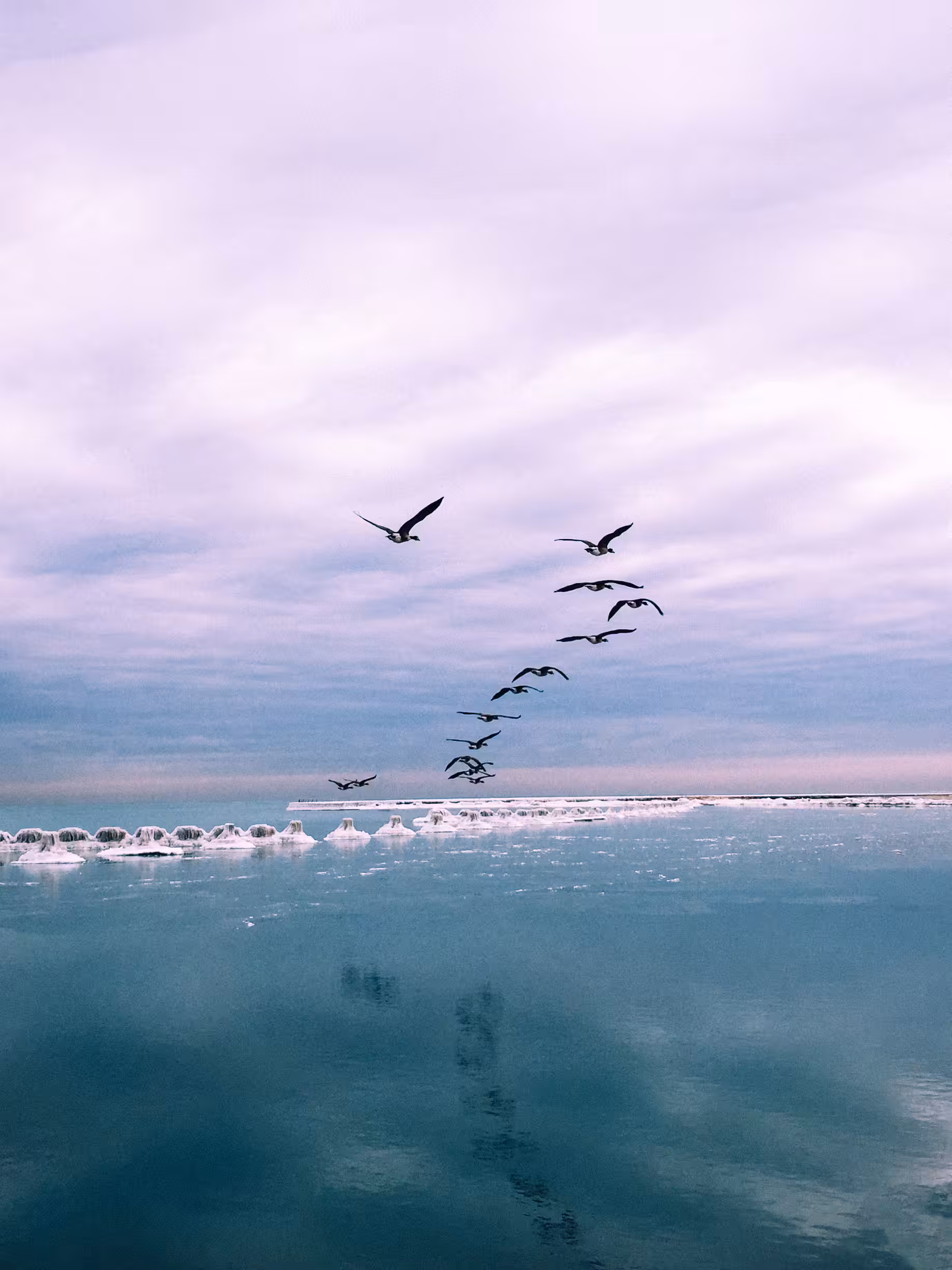 Winter’s Flight