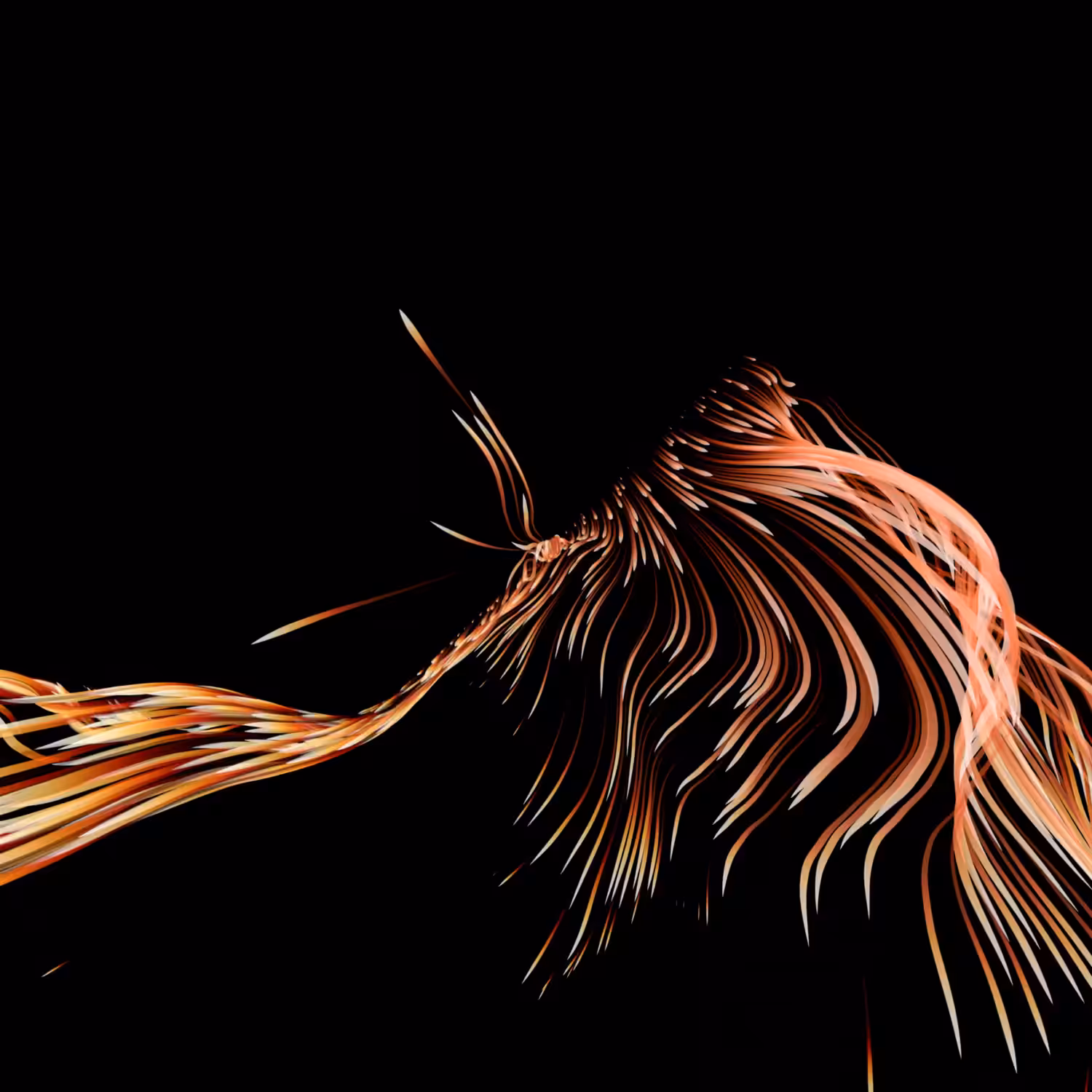 Vortex #993