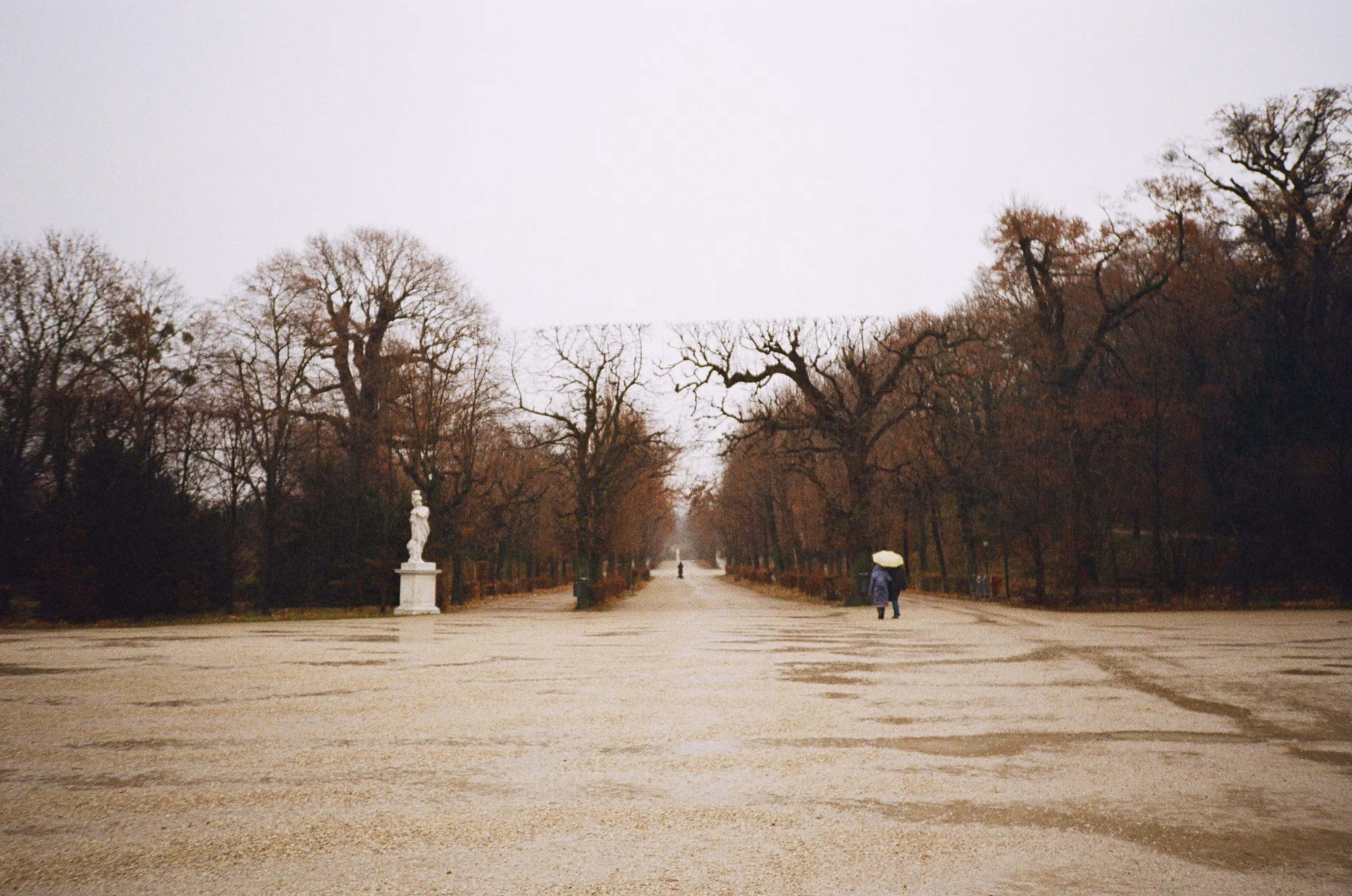 Vienna on film