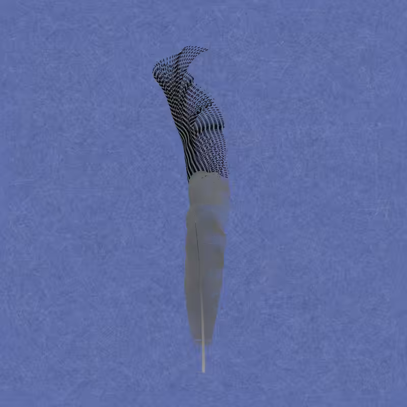 Hollow Strength #13