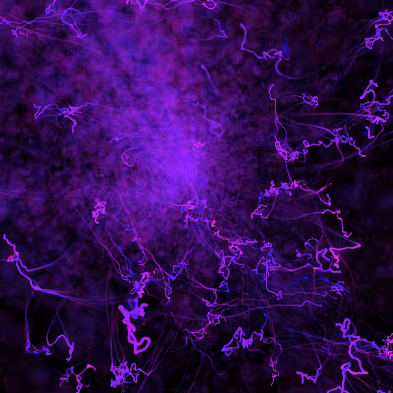 aura #105